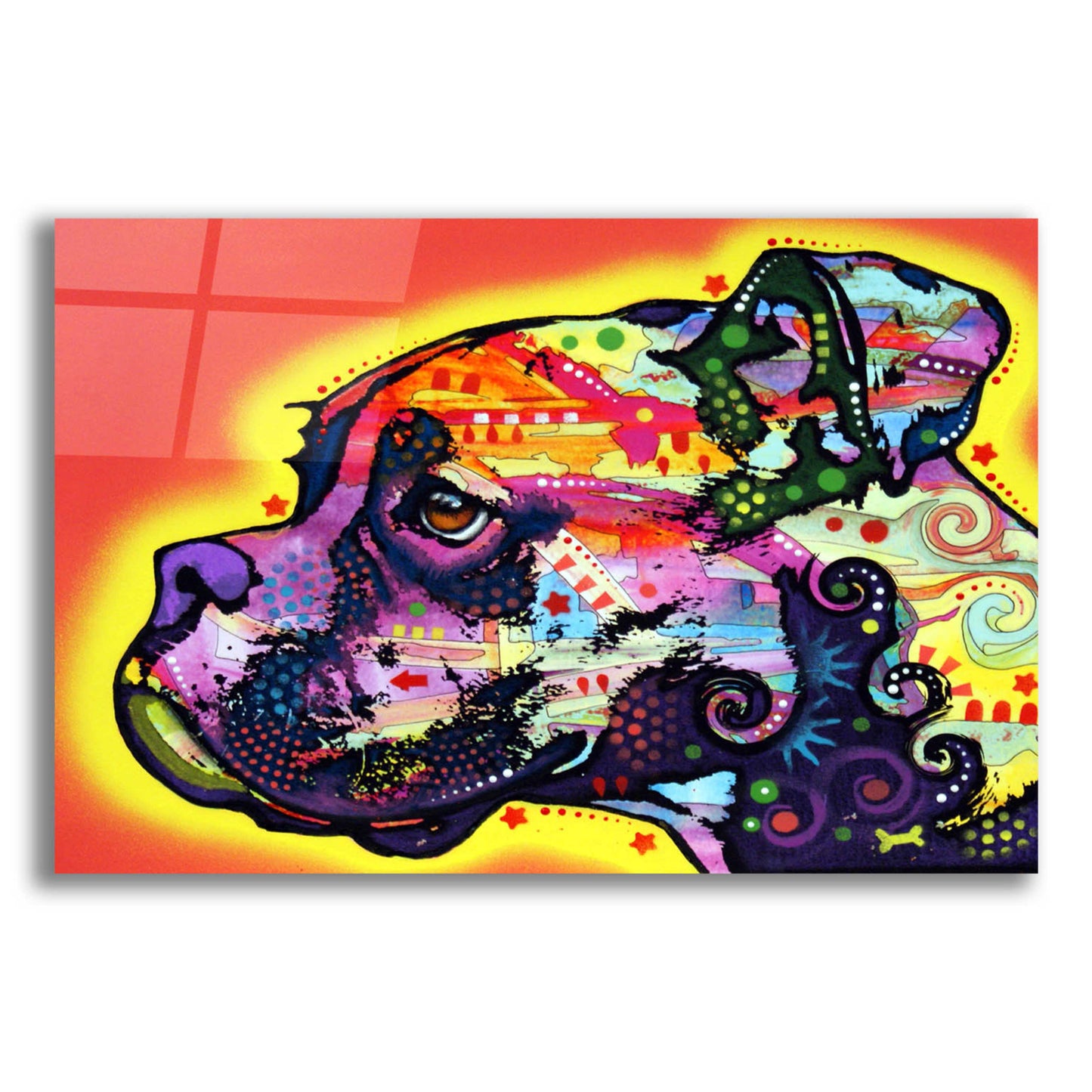 Epic Art 'Profile Boxer' by Dean Russo, Acrylic Glass Wall Art,16x12