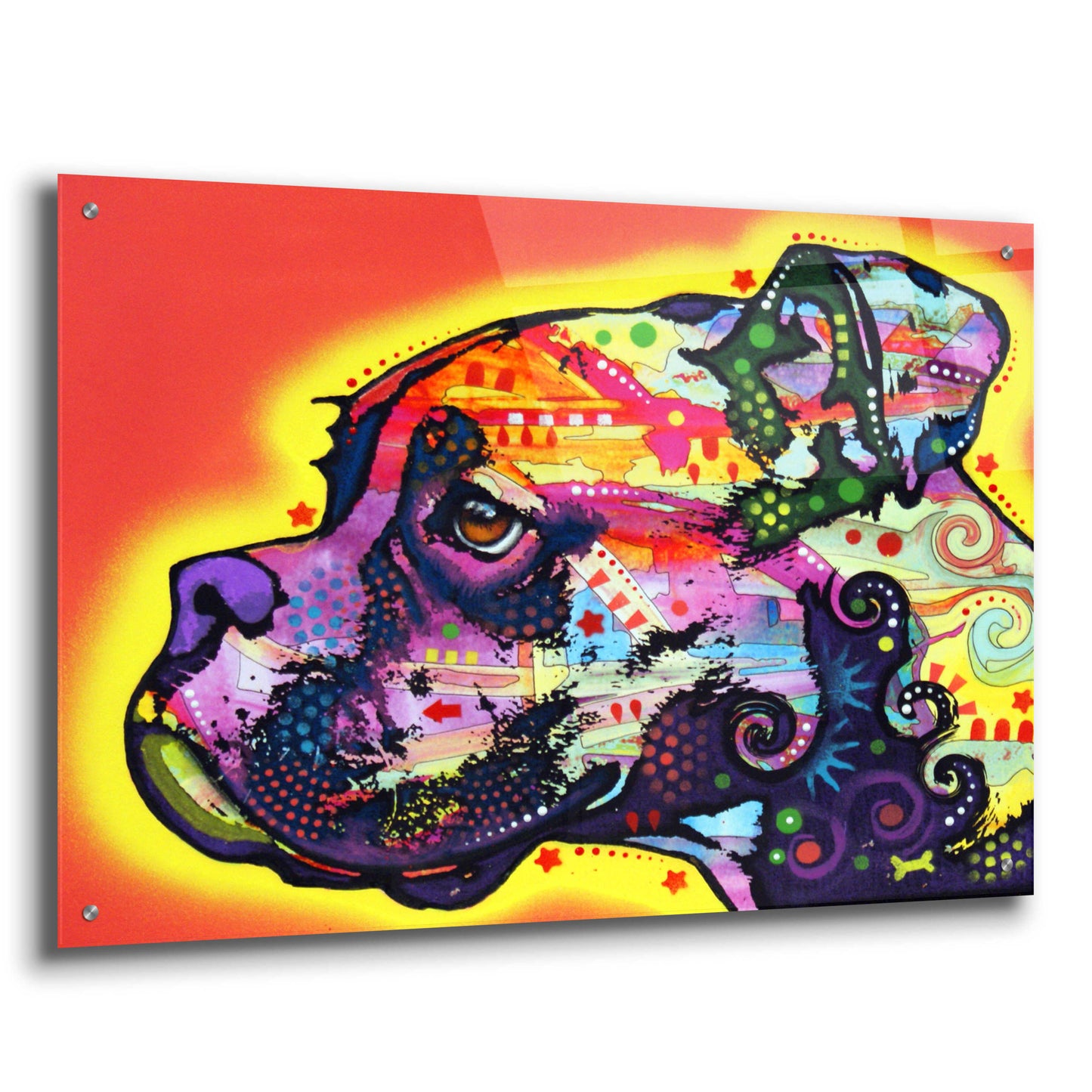 Epic Art 'Profile Boxer' by Dean Russo, Acrylic Glass Wall Art,36x24