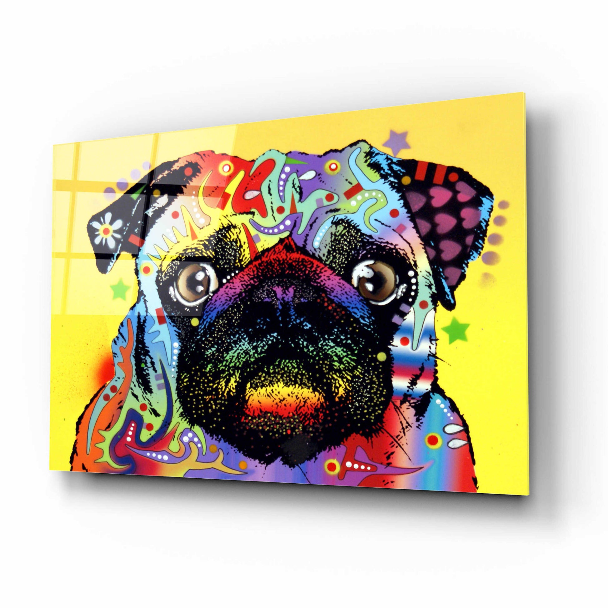 Epic Art 'Pug 1' by Dean Russo, Acrylic Glass Wall Art,16x12