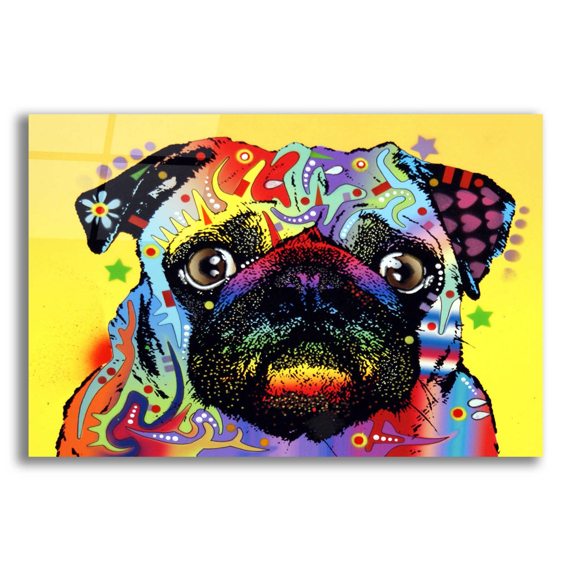 Epic Art 'Pug 1' by Dean Russo, Acrylic Glass Wall Art,16x12