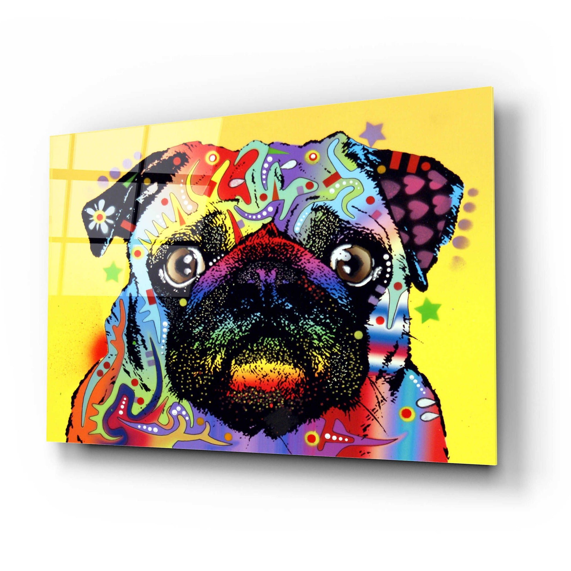 Epic Art 'Pug 1' by Dean Russo, Acrylic Glass Wall Art,24x16