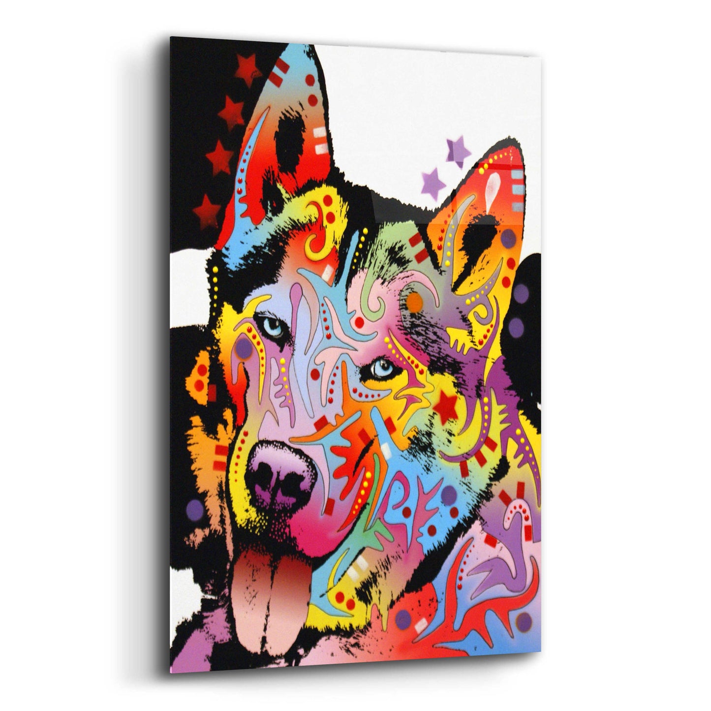 Epic Art 'Siberian Husky 1' by Dean Russo, Acrylic Glass Wall Art,12x16