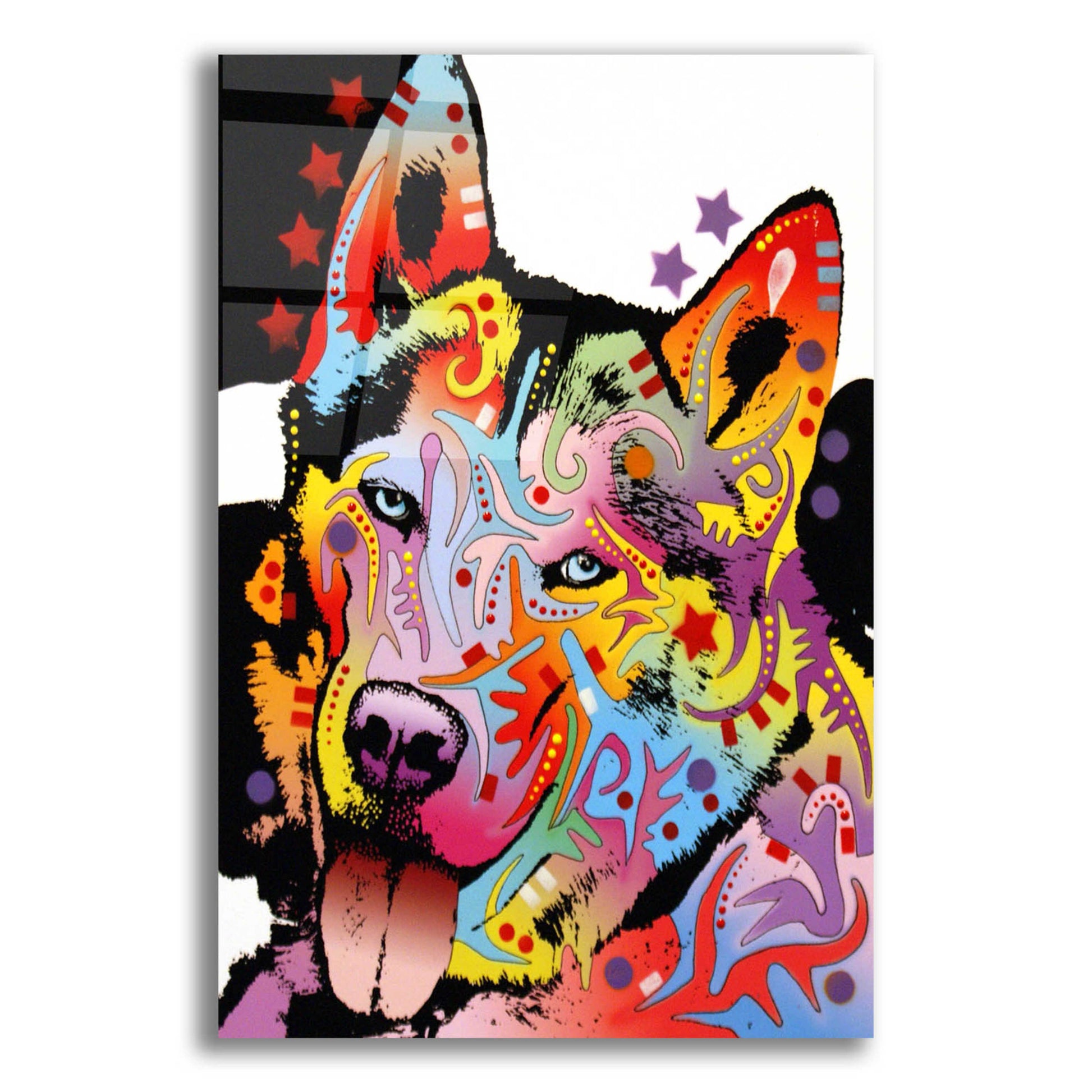 Epic Art 'Siberian Husky 1' by Dean Russo, Acrylic Glass Wall Art,12x16