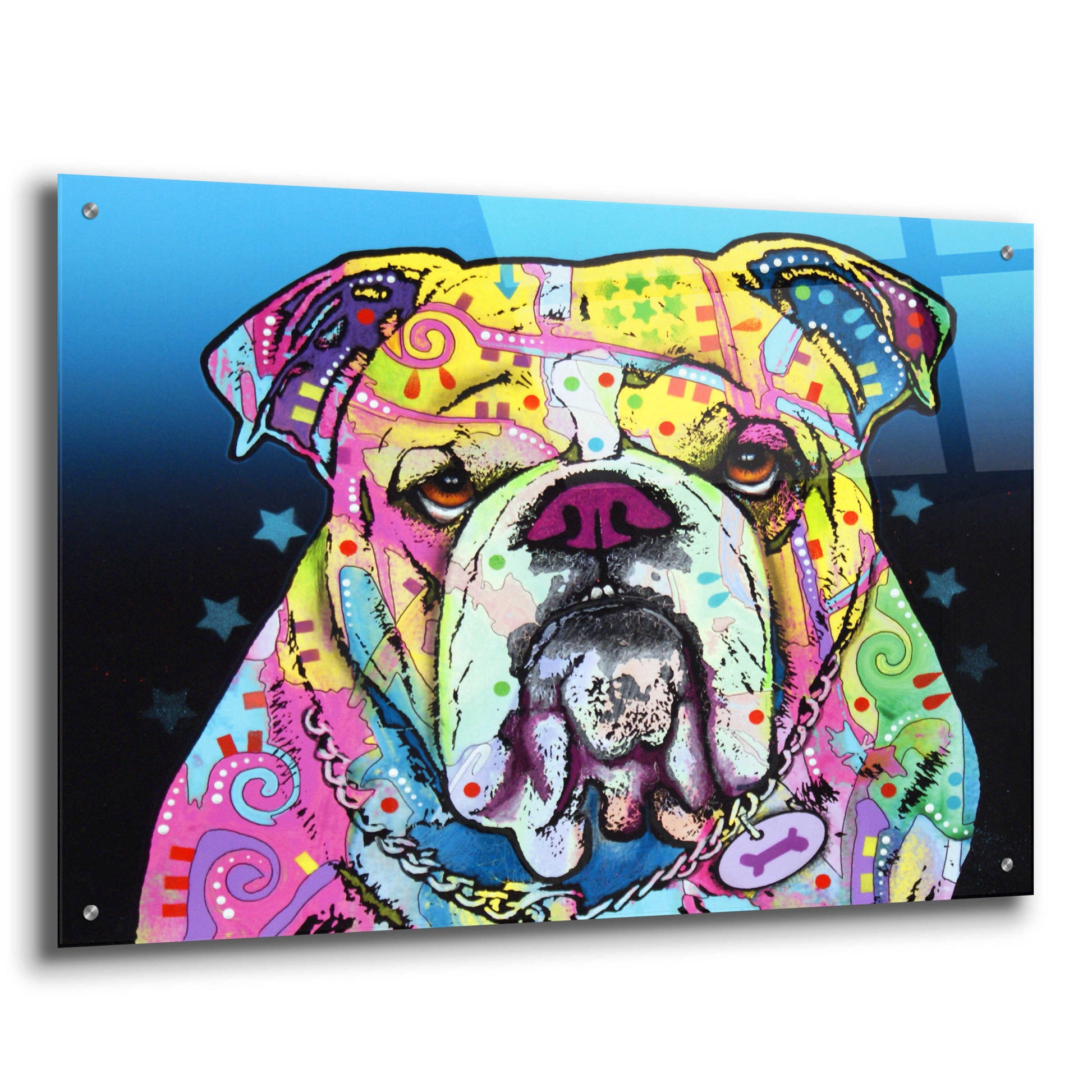 Epic Art 'The Bulldog' by Dean Russo, Acrylic Glass Wall Art,36x24