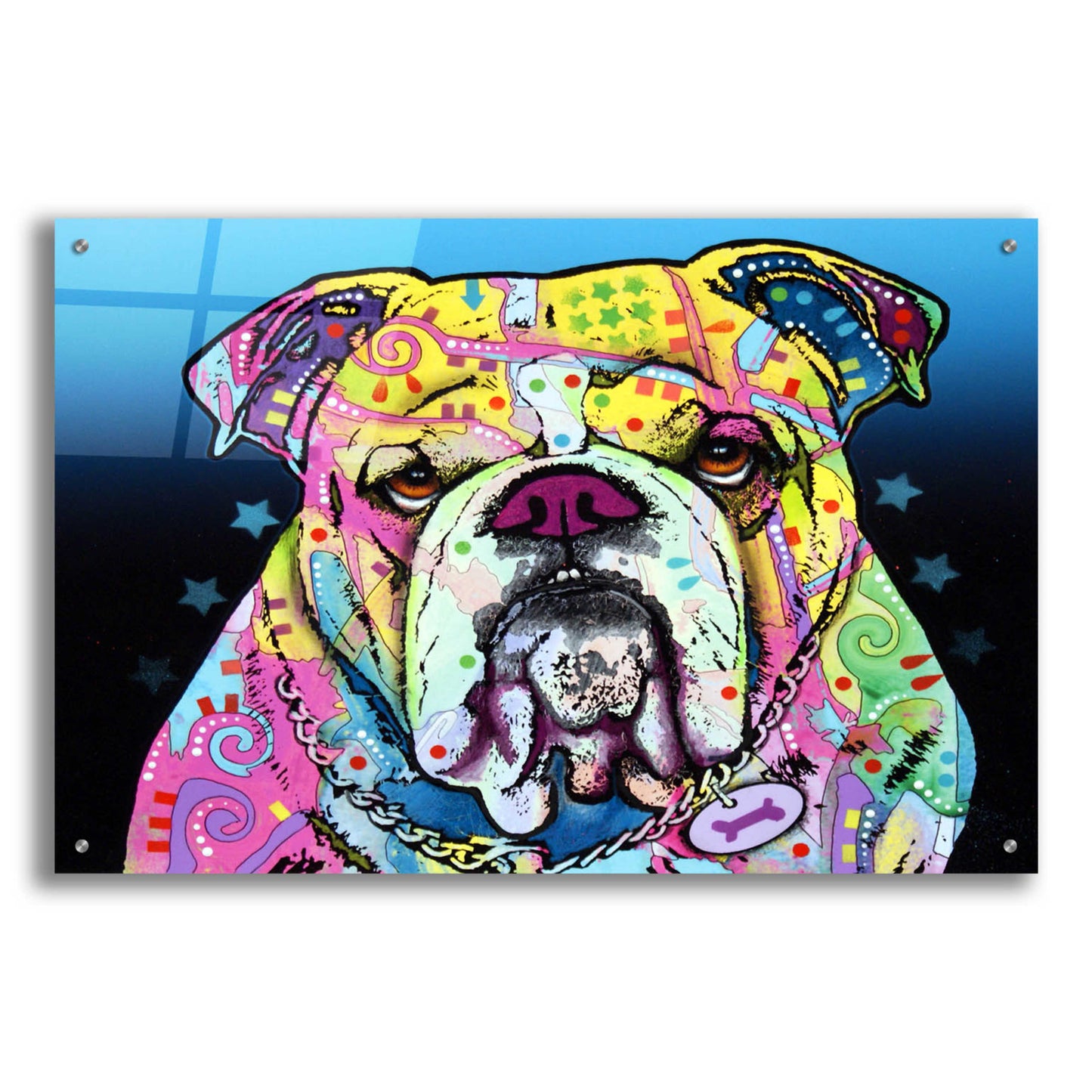 Epic Art 'The Bulldog' by Dean Russo, Acrylic Glass Wall Art,36x24