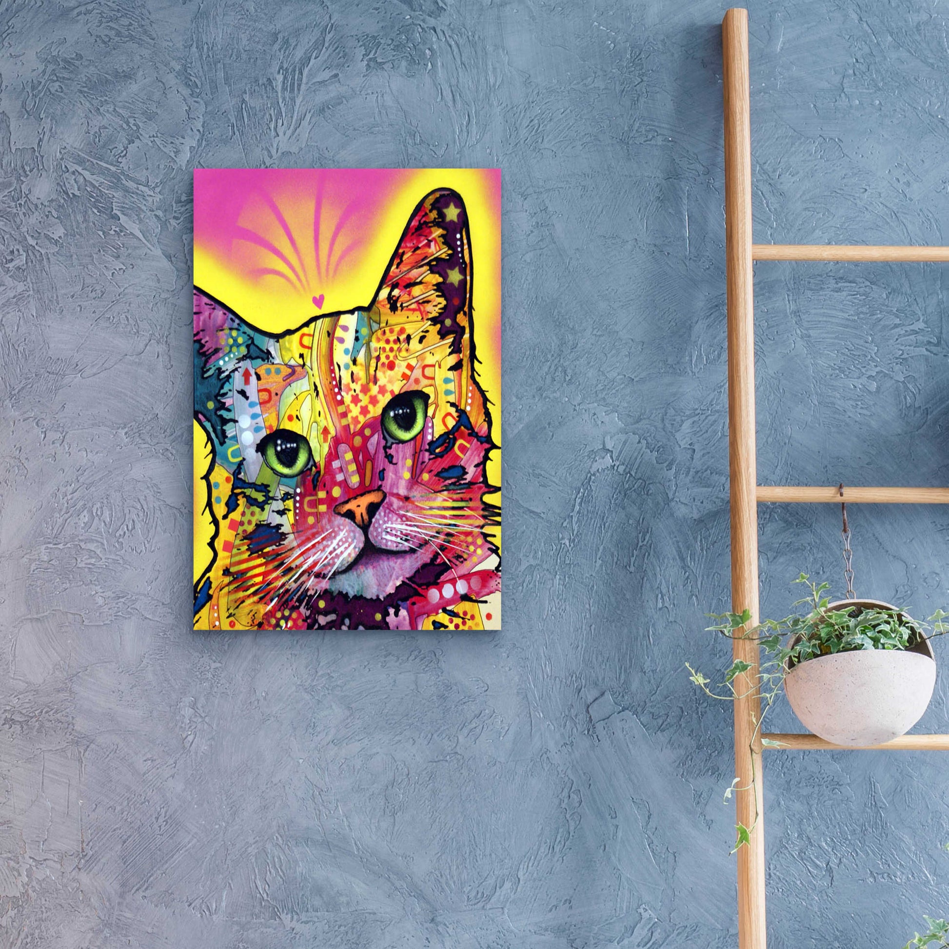 Epic Art 'Tilt Cat I' by Dean Russo, Acrylic Glass Wall Art,16x24