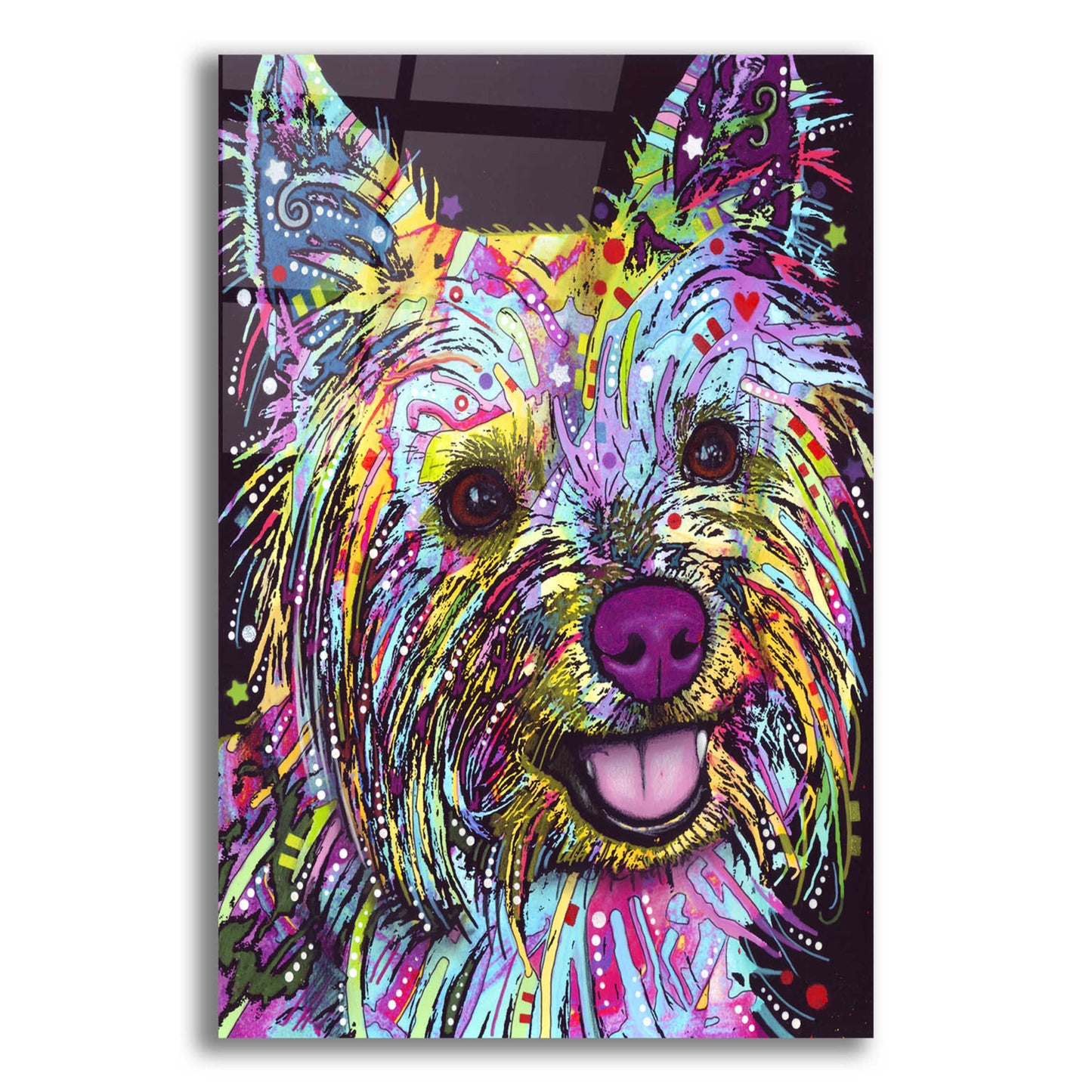 Epic Art 'Yorkie 1' by Dean Russo, Acrylic Glass Wall Art,12x16