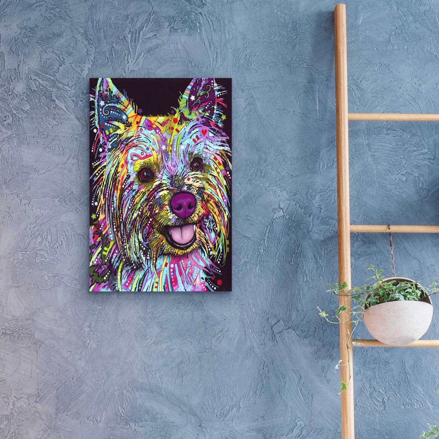 Epic Art 'Yorkie 1' by Dean Russo, Acrylic Glass Wall Art,16x24