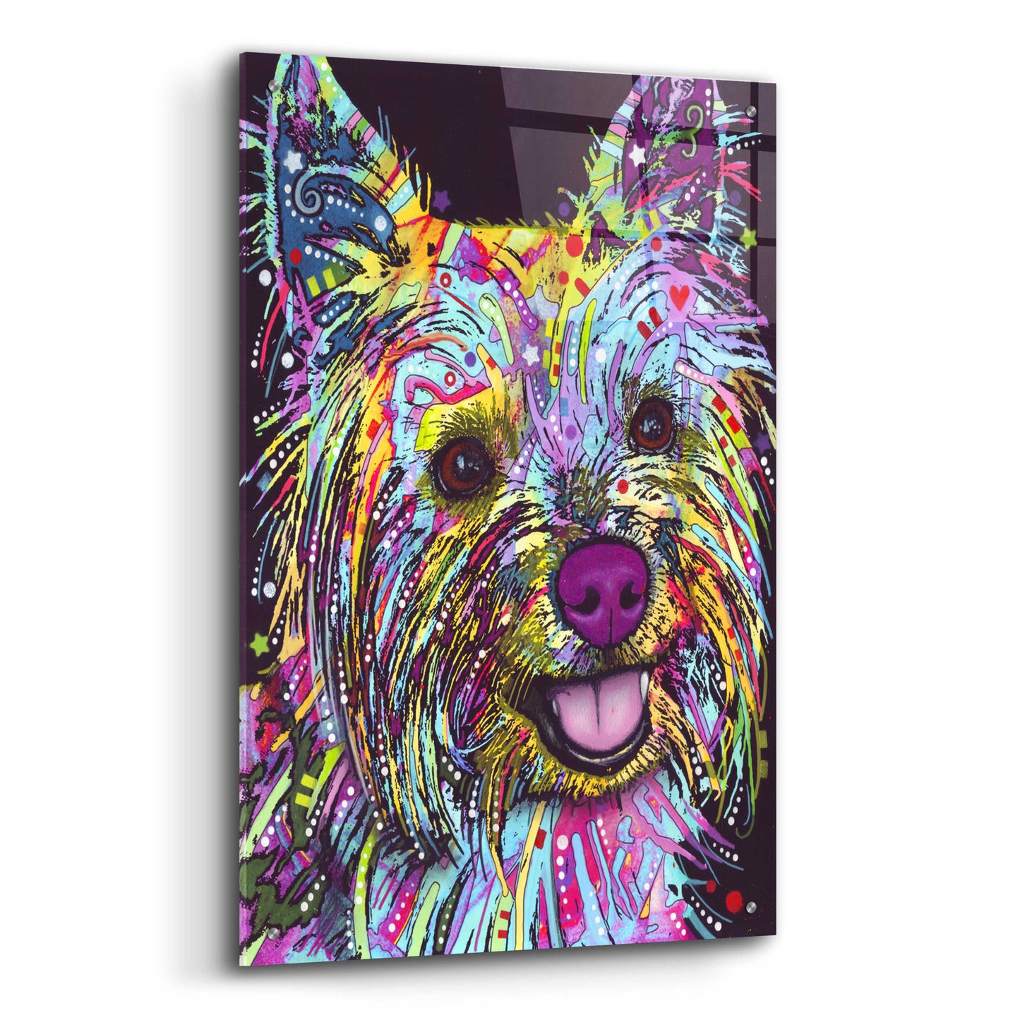 Epic Art 'Yorkie 1' by Dean Russo, Acrylic Glass Wall Art,24x36