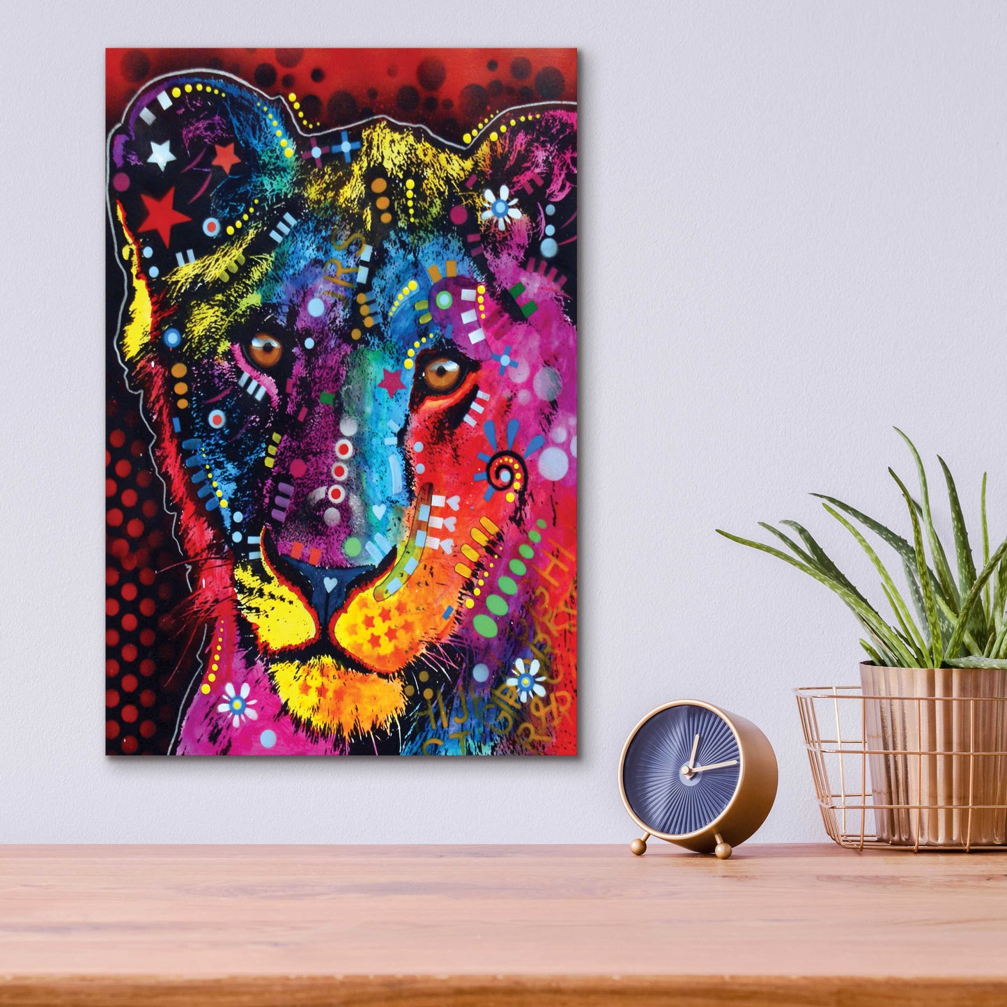 Epic Art 'Young Lion' by Dean Russo, Acrylic Glass Wall Art,12x16