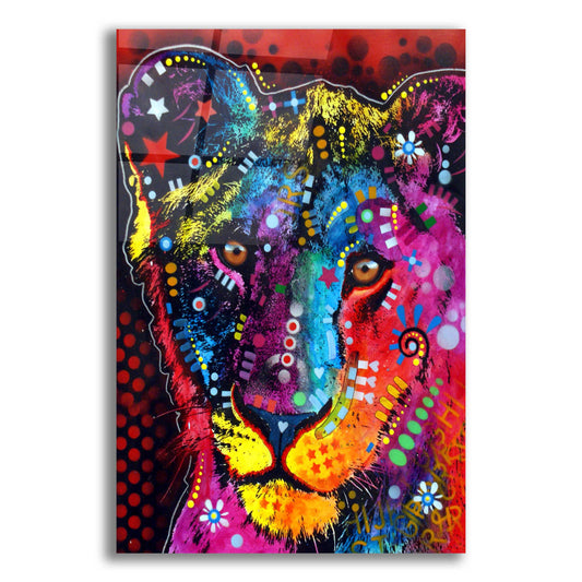 Epic Art 'Young Lion' by Dean Russo, Acrylic Glass Wall Art