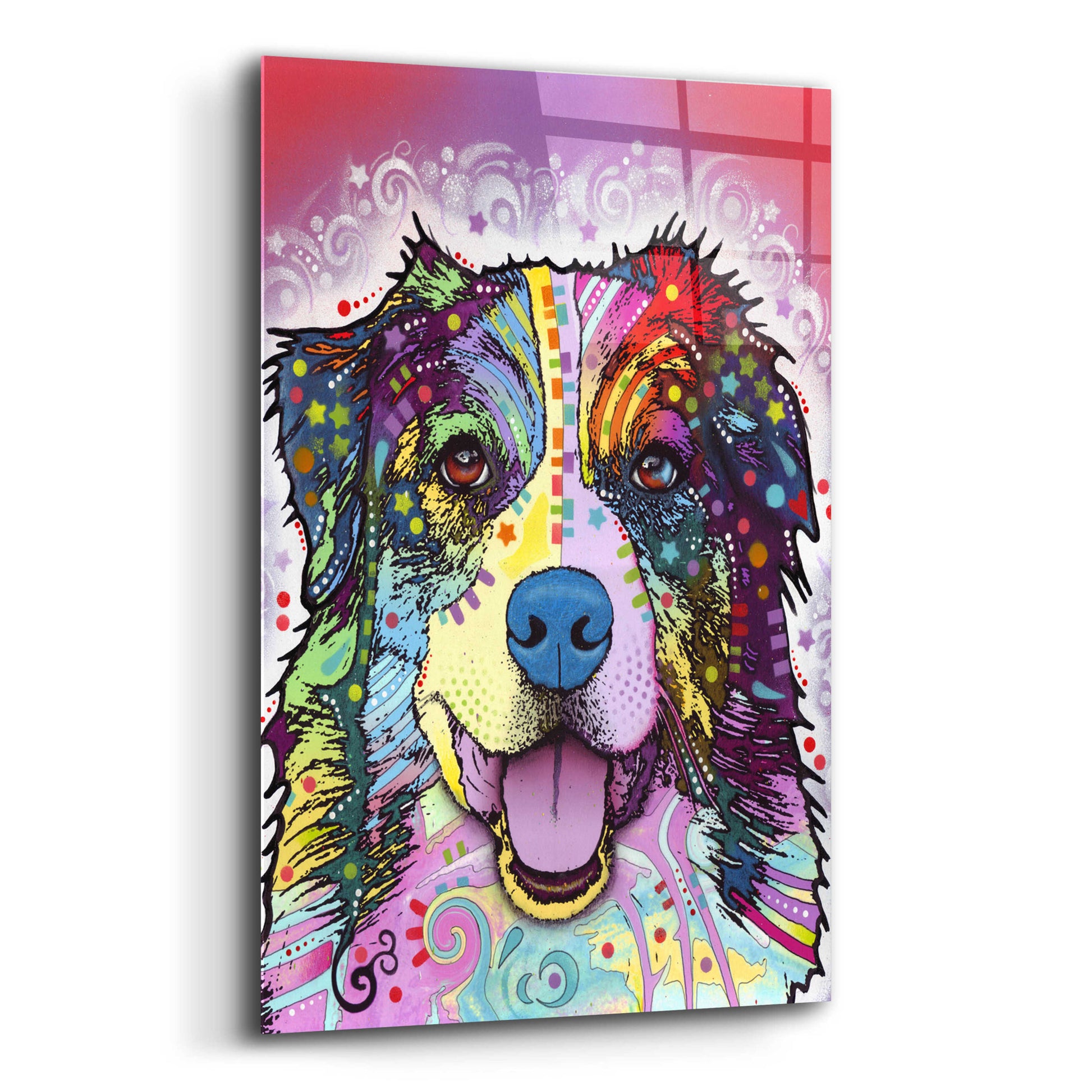 Epic Art 'Australian Shepherd' by Dean Russo, Acrylic Glass Wall Art,12x16