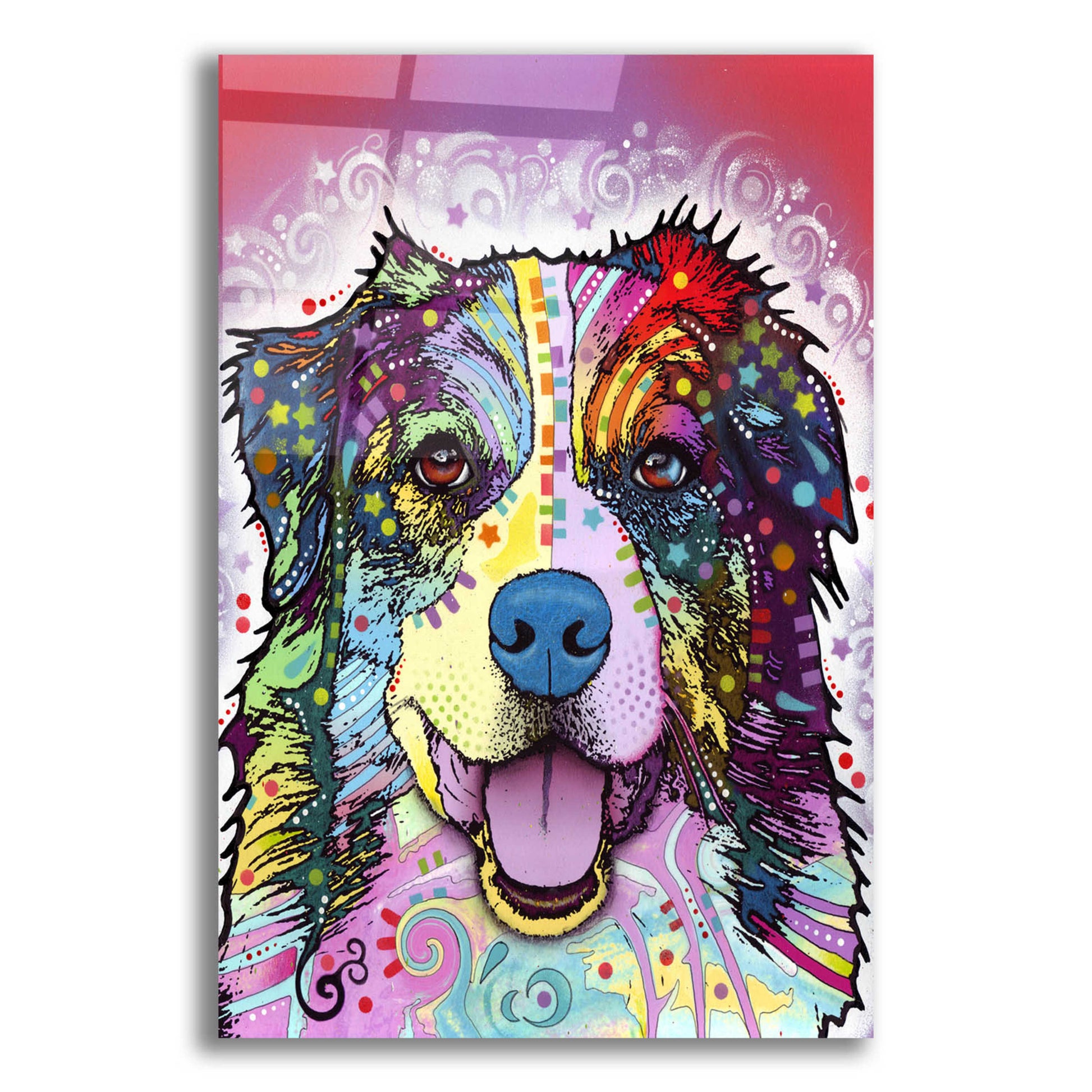 Epic Art 'Australian Shepherd' by Dean Russo, Acrylic Glass Wall Art,12x16