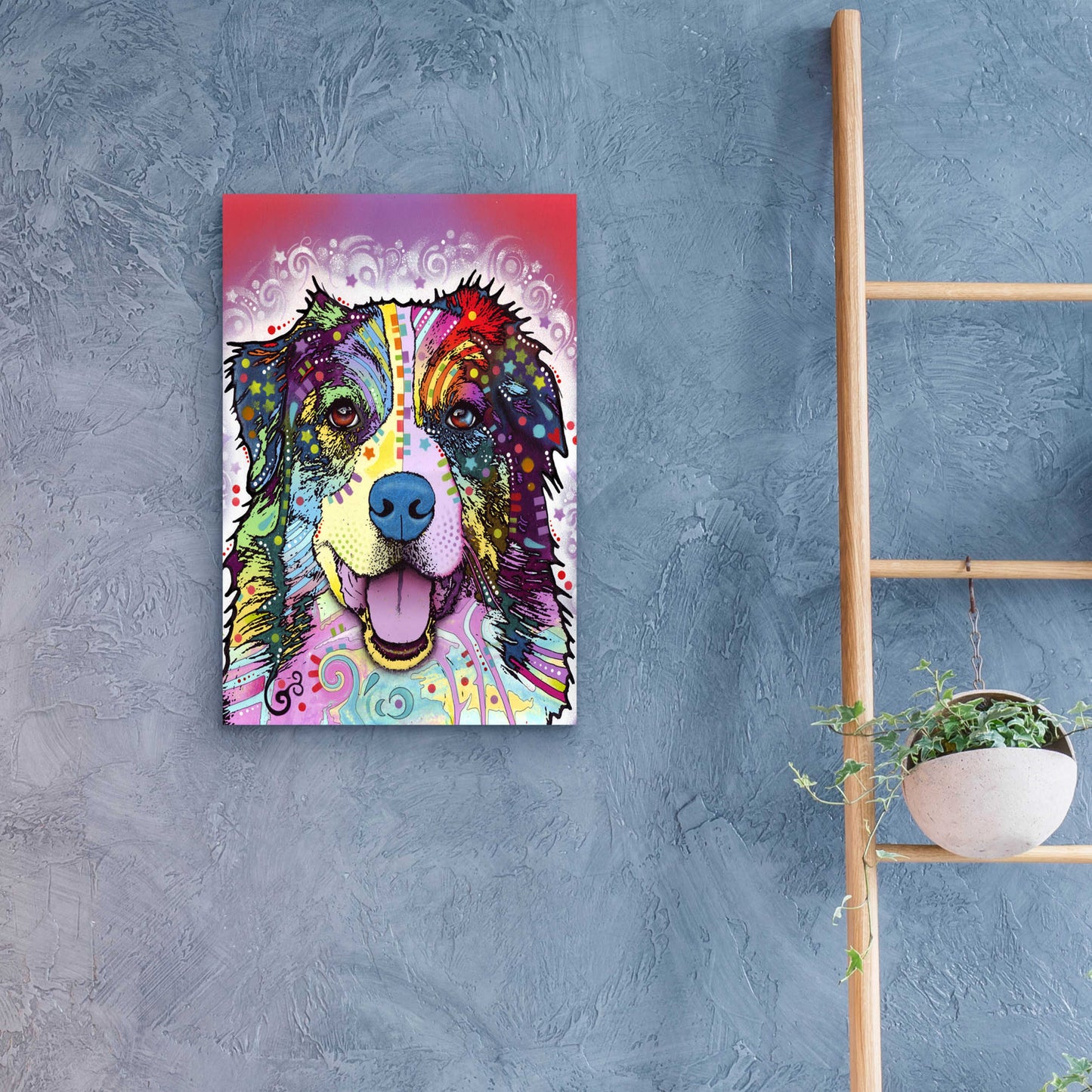 Epic Art 'Australian Shepherd' by Dean Russo, Acrylic Glass Wall Art,16x24