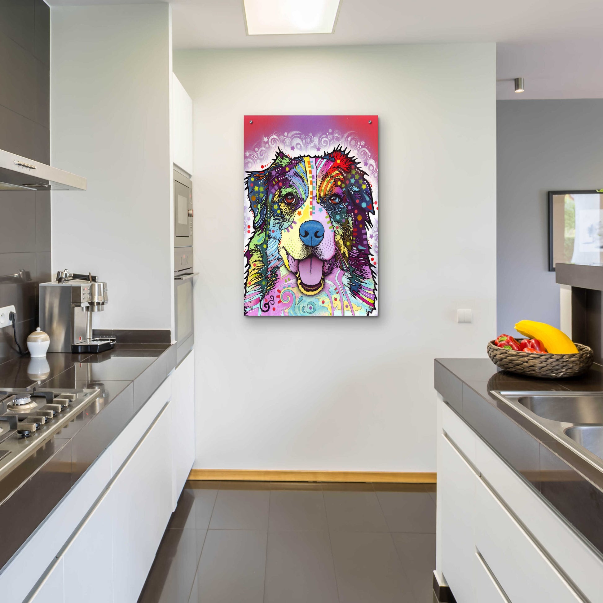 Epic Art 'Australian Shepherd' by Dean Russo, Acrylic Glass Wall Art,24x36