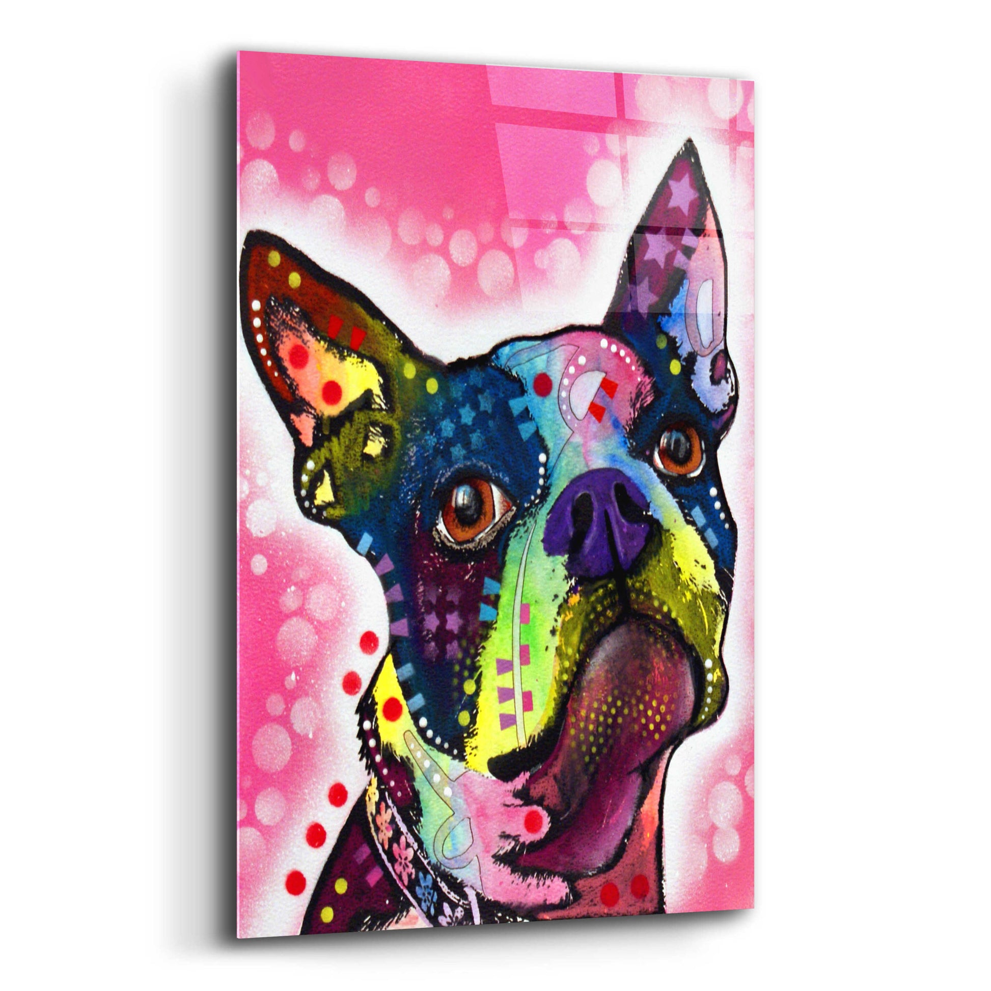 Epic Art 'Boston Terrier' by Dean Russo, Acrylic Glass Wall Art,12x16