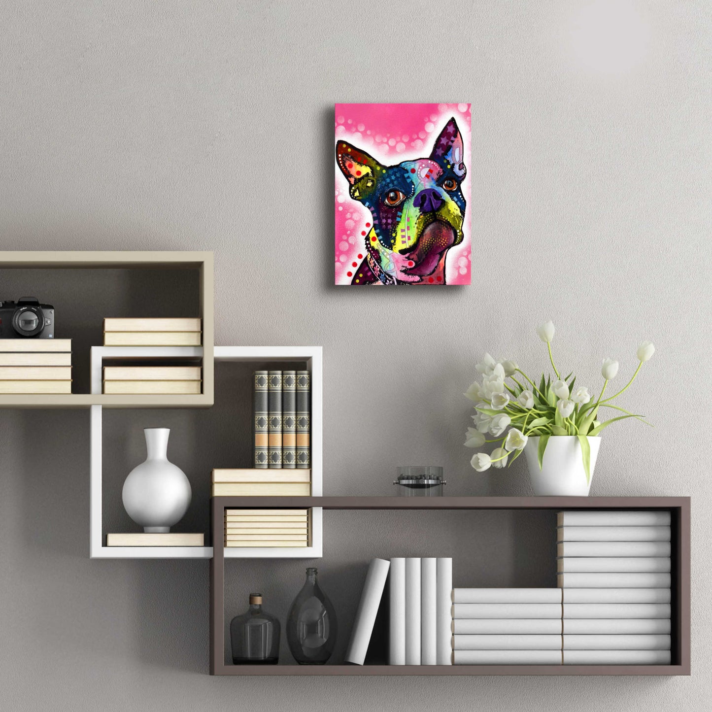 Epic Art 'Boston Terrier' by Dean Russo, Acrylic Glass Wall Art,12x16