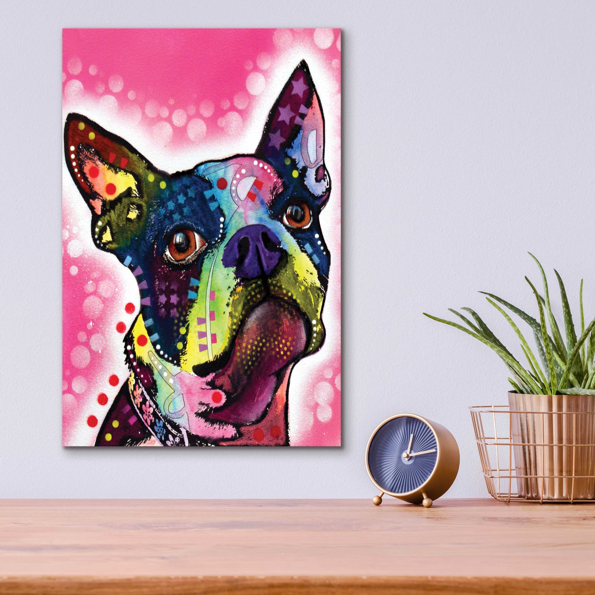 Epic Art 'Boston Terrier' by Dean Russo, Acrylic Glass Wall Art,12x16