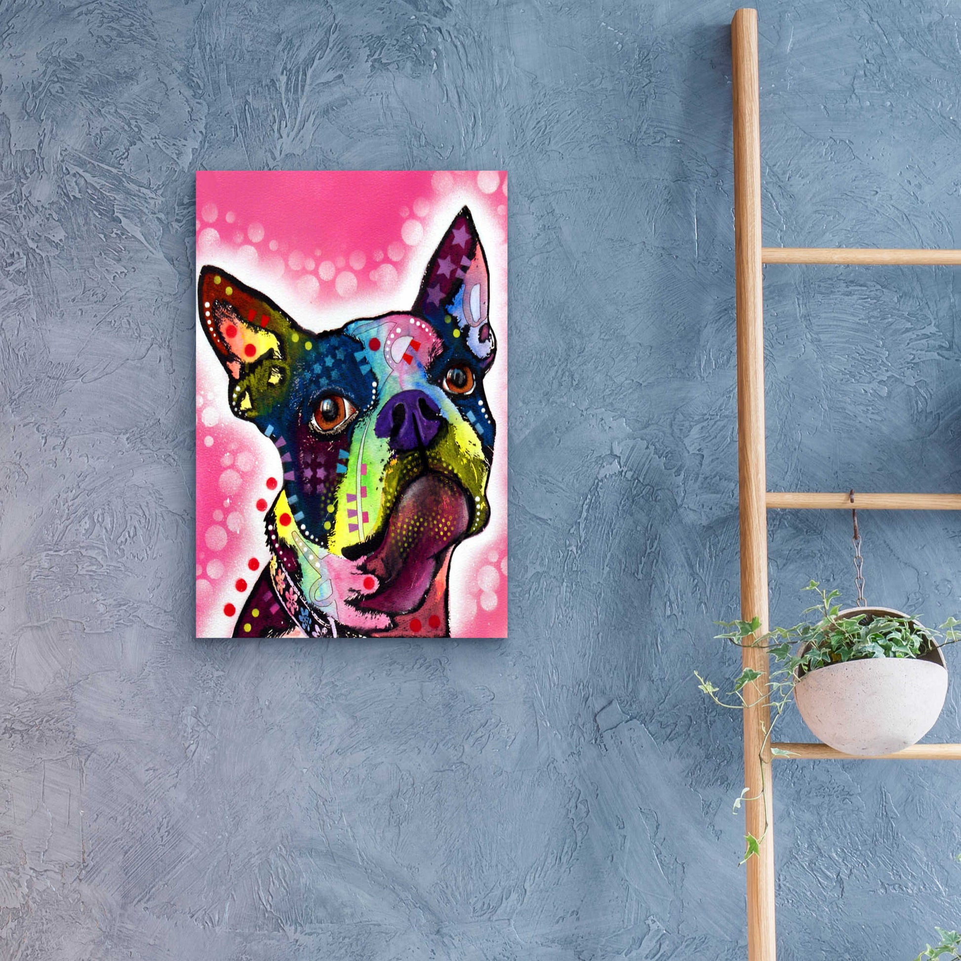 Epic Art 'Boston Terrier' by Dean Russo, Acrylic Glass Wall Art,16x24