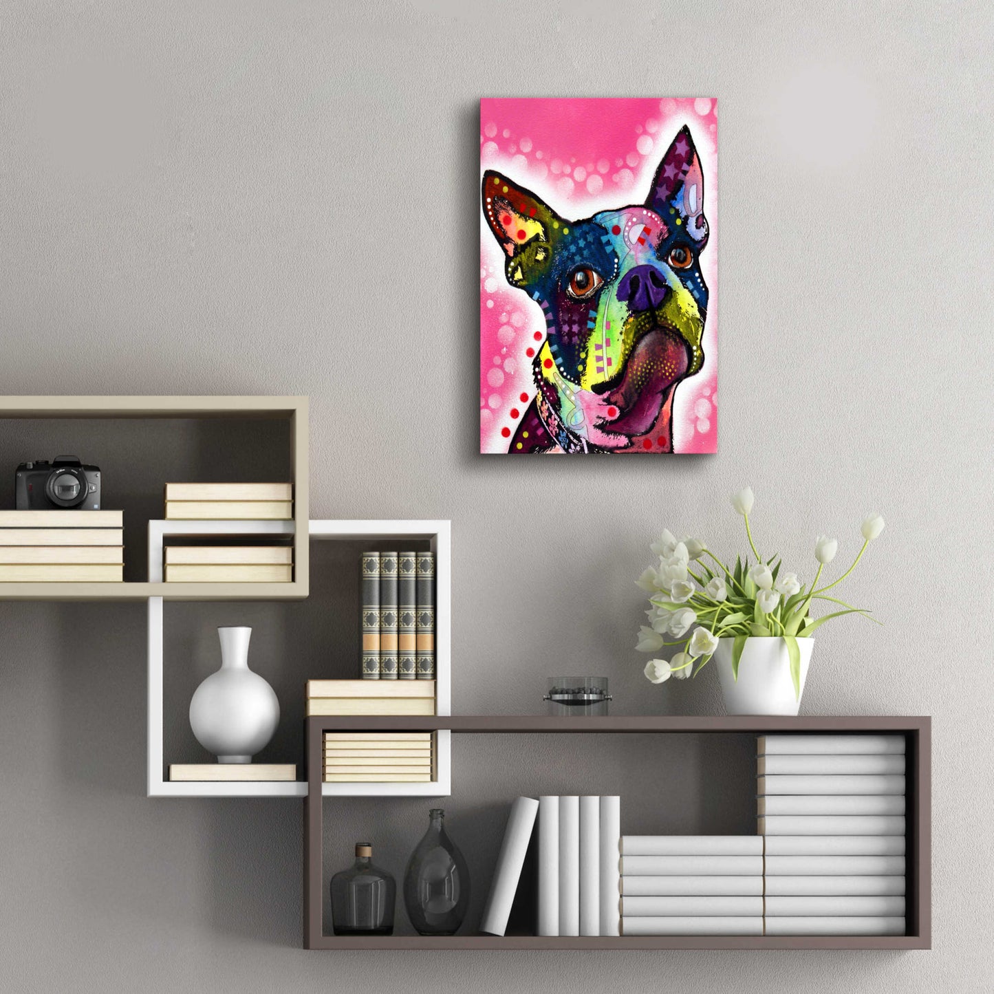 Epic Art 'Boston Terrier' by Dean Russo, Acrylic Glass Wall Art,16x24