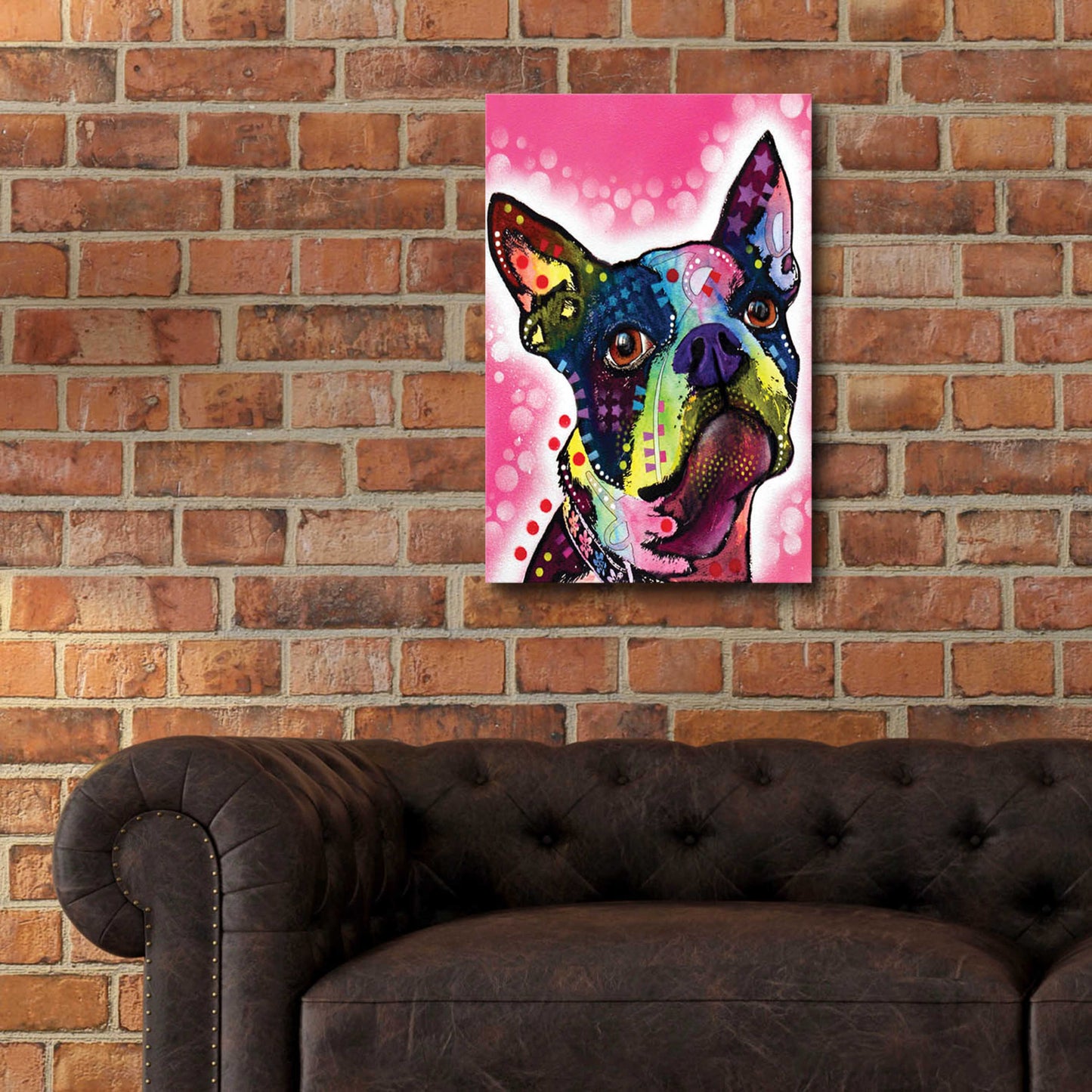 Epic Art 'Boston Terrier' by Dean Russo, Acrylic Glass Wall Art,16x24