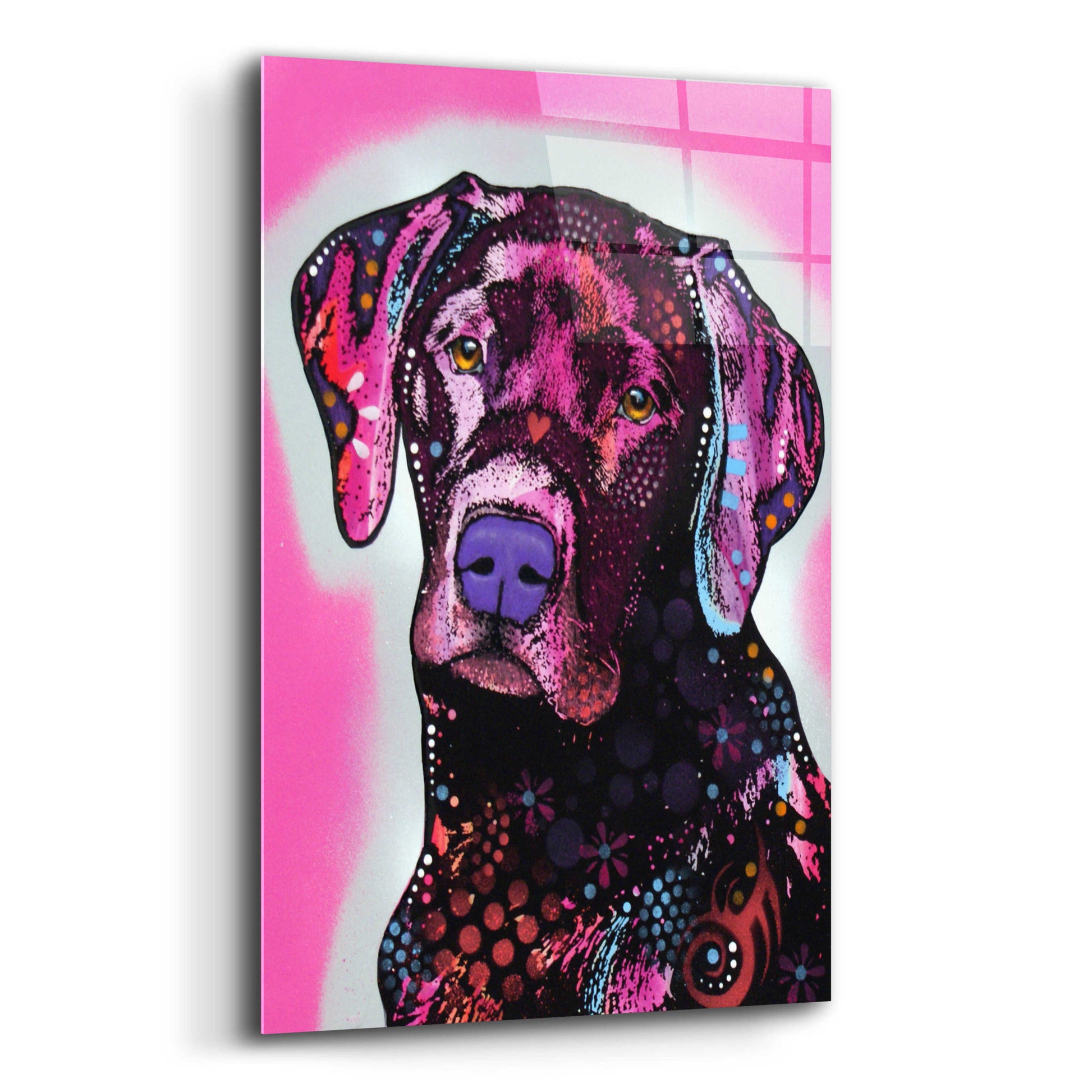 Epic Art 'Black Lab' by Dean Russo, Acrylic Glass Wall Art,12x16