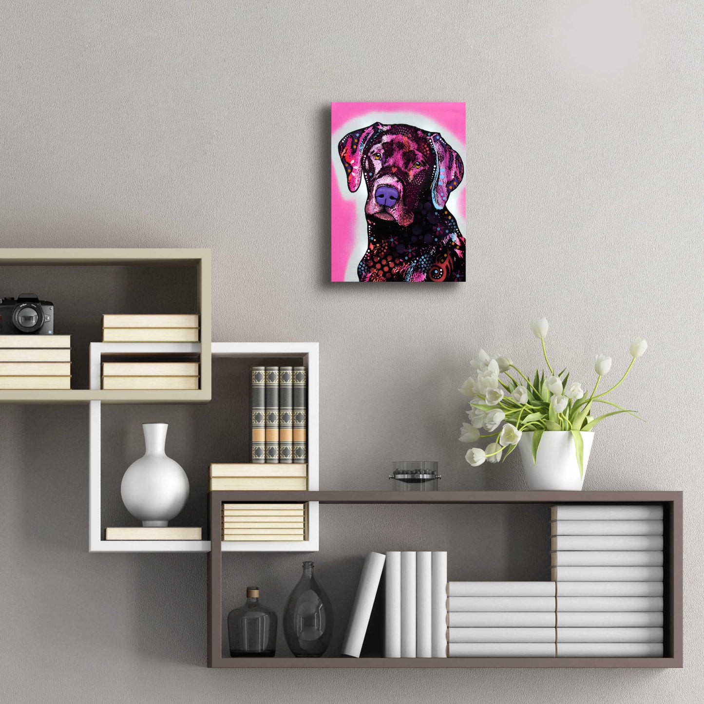 Epic Art 'Black Lab' by Dean Russo, Acrylic Glass Wall Art,12x16