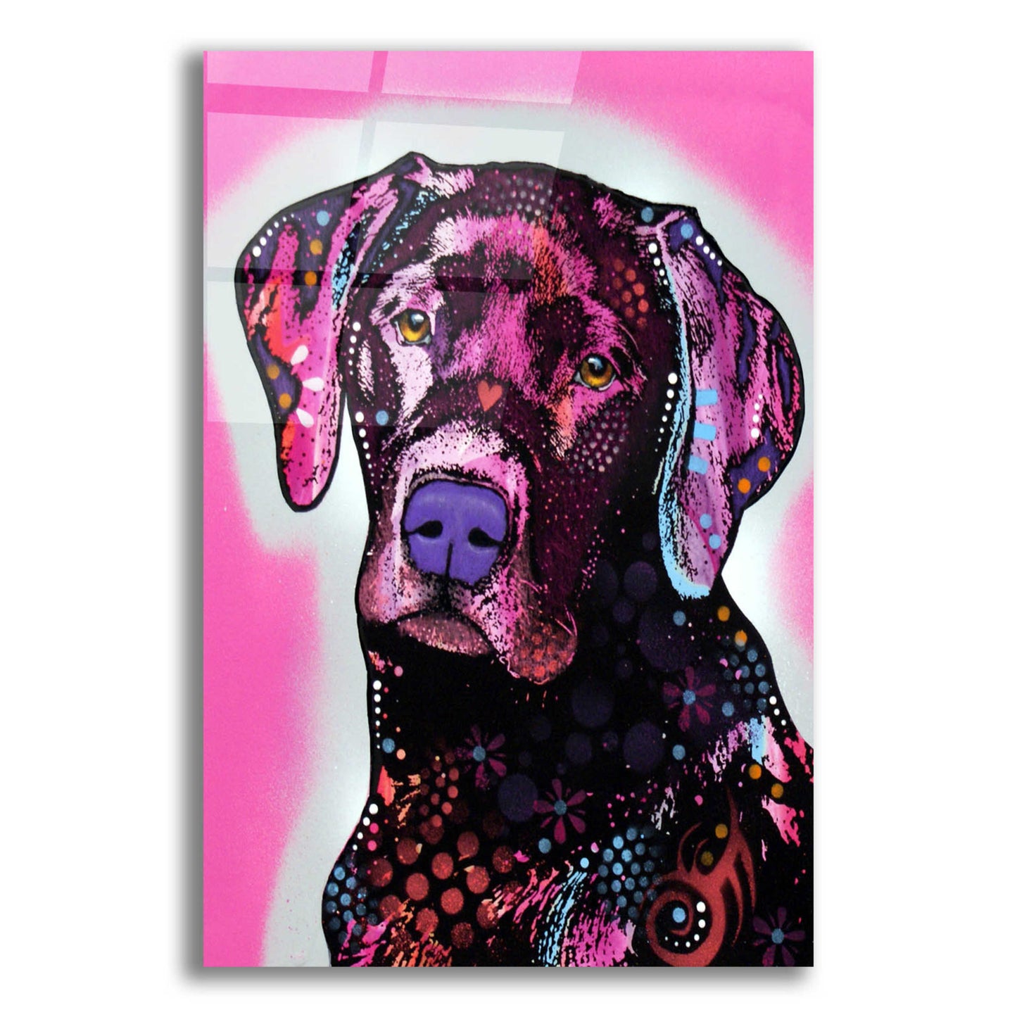 Epic Art 'Black Lab' by Dean Russo, Acrylic Glass Wall Art,12x16