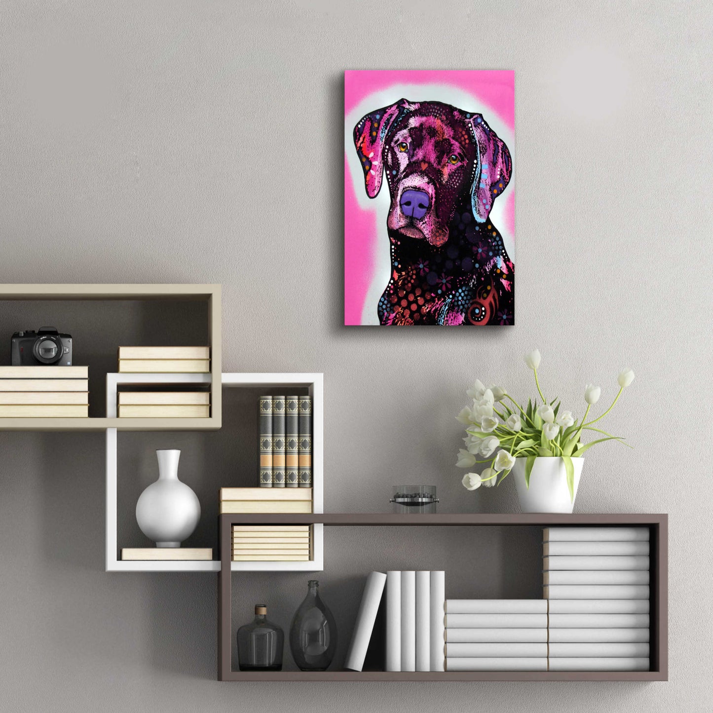 Epic Art 'Black Lab' by Dean Russo, Acrylic Glass Wall Art,16x24