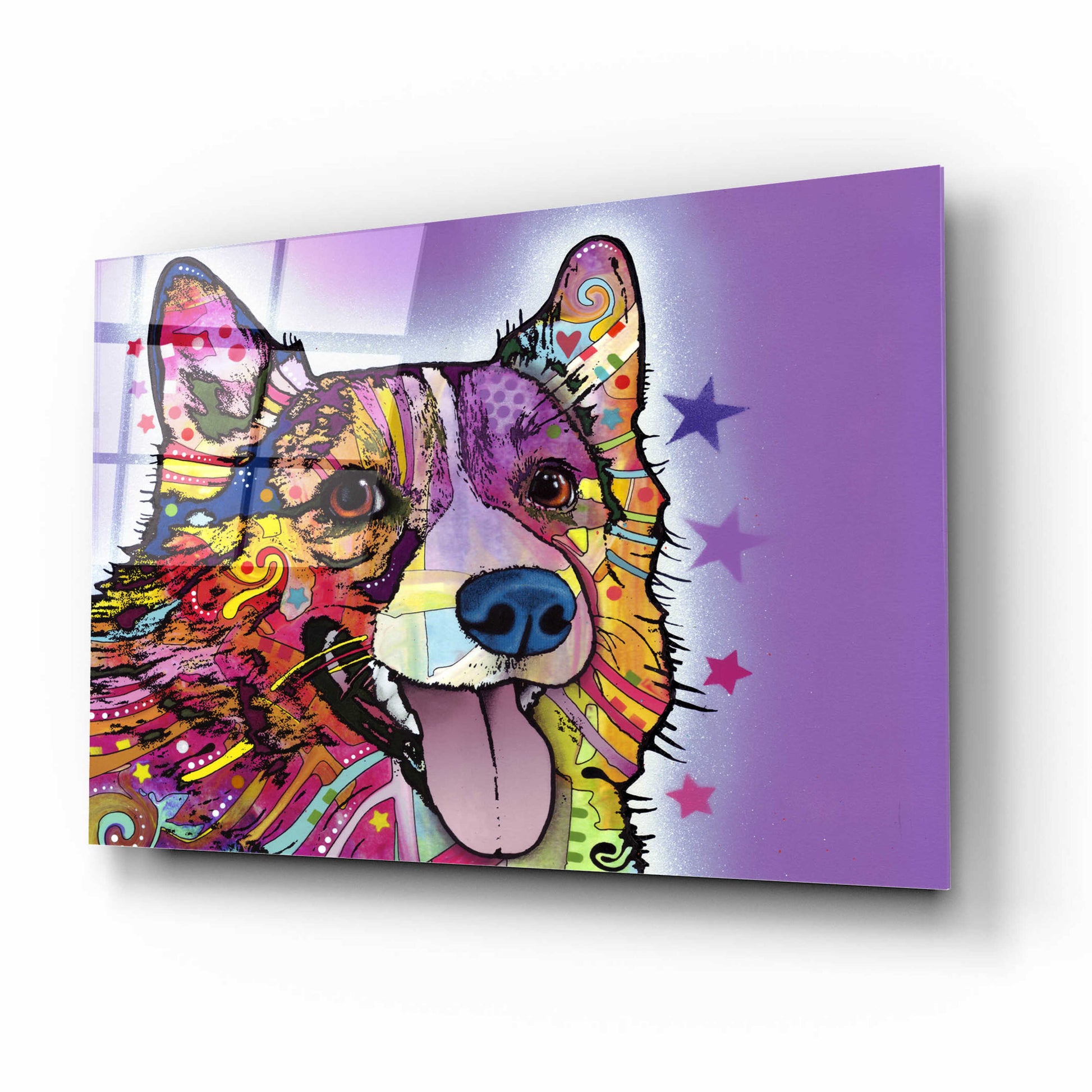 Epic Art 'Corgi' by Dean Russo, Acrylic Glass Wall Art,16x12