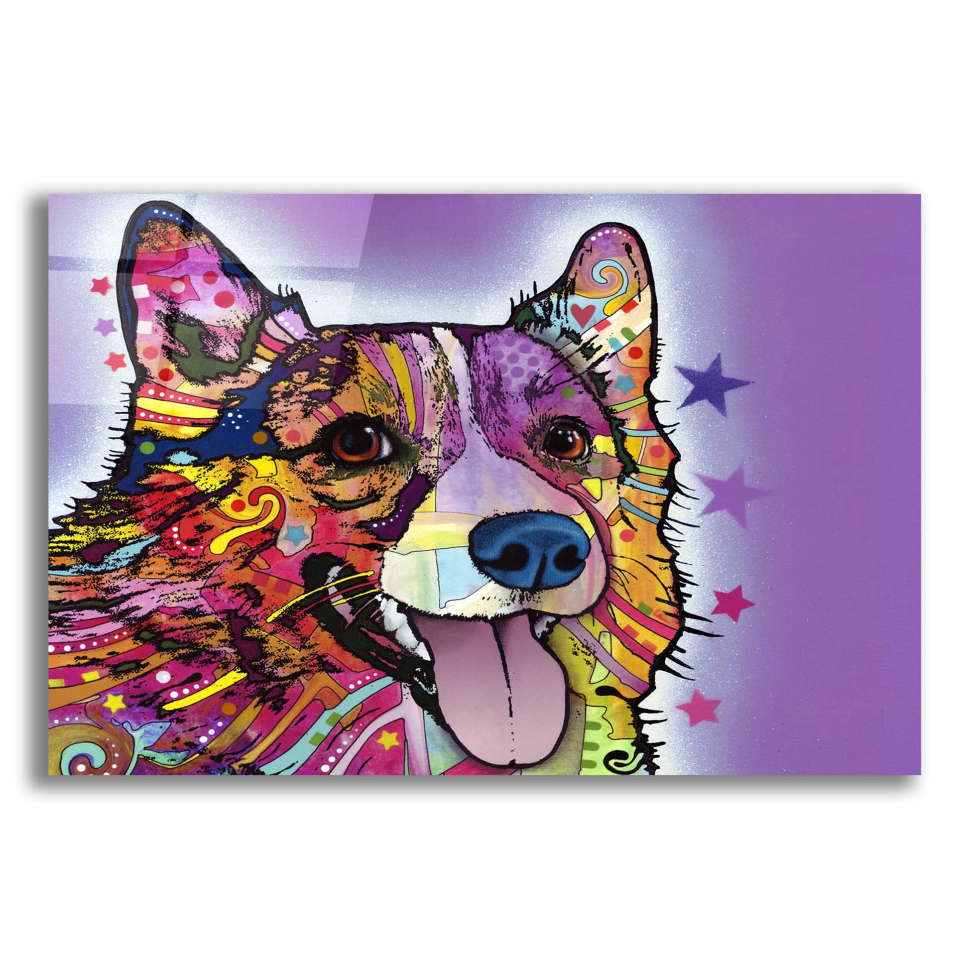 Epic Art 'Corgi' by Dean Russo, Acrylic Glass Wall Art,16x12