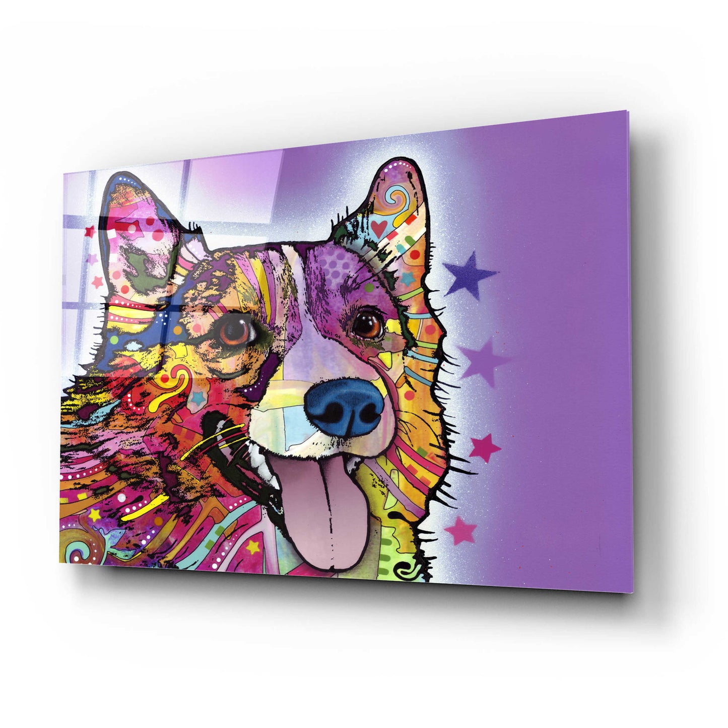 Epic Art 'Corgi' by Dean Russo, Acrylic Glass Wall Art,24x16