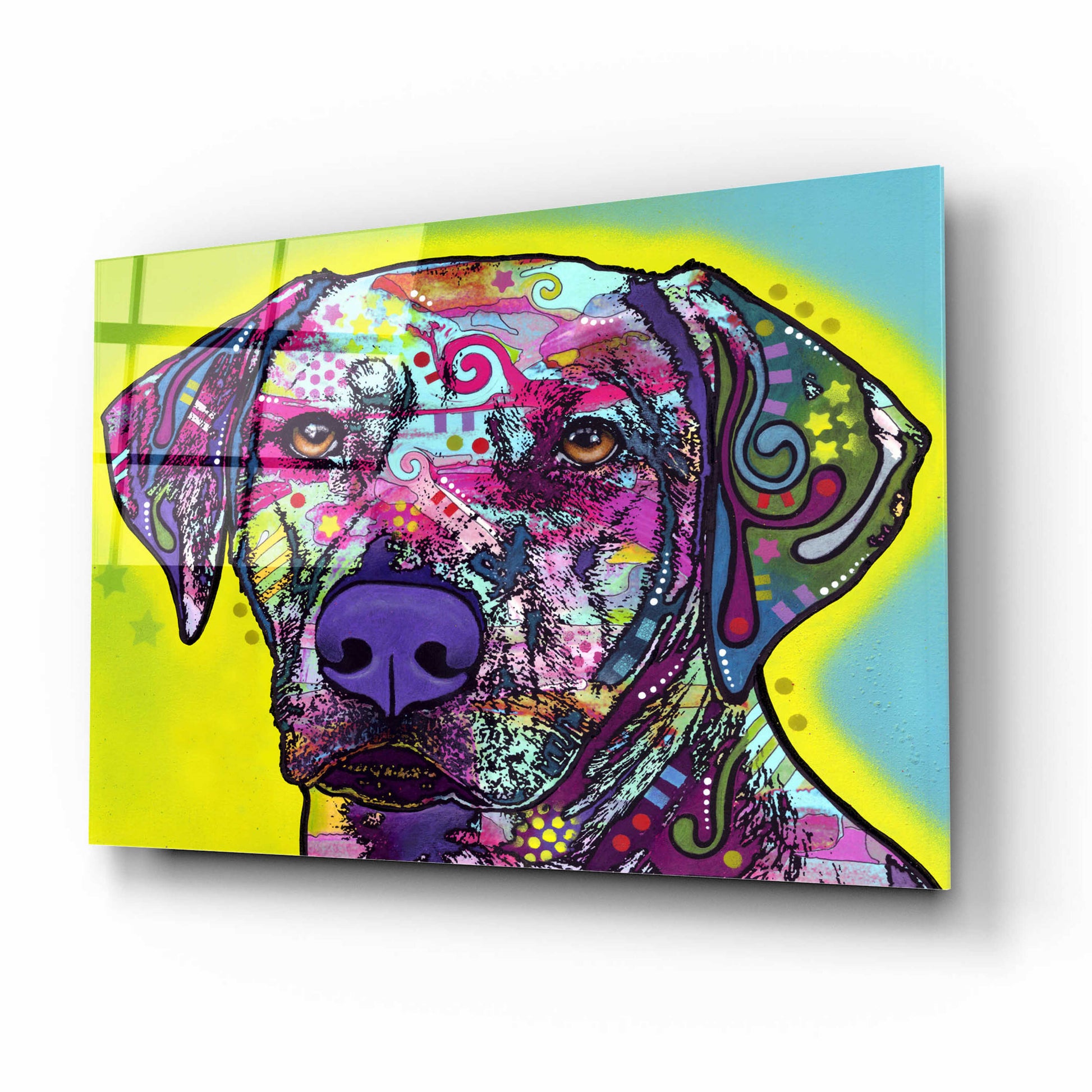 Epic Art 'Rhodesian Ridgeback' by Dean Russo, Acrylic Glass Wall Art,16x12