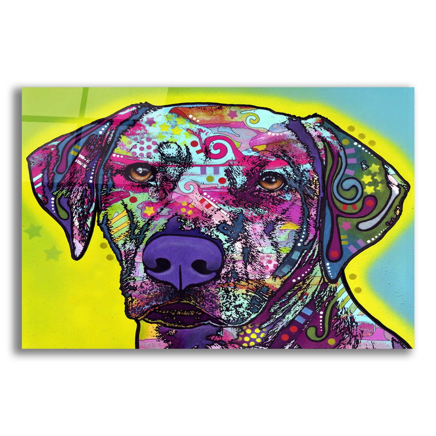 Epic Art 'Rhodesian Ridgeback' by Dean Russo, Acrylic Glass Wall Art,16x12