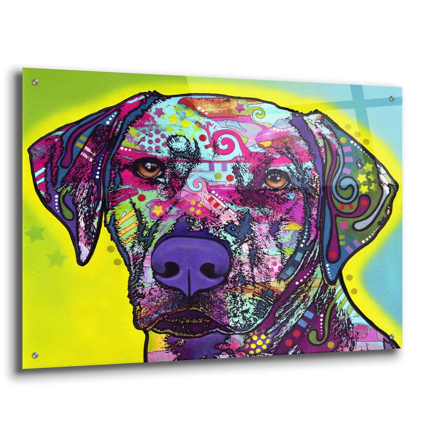 Epic Art 'Rhodesian Ridgeback' by Dean Russo, Acrylic Glass Wall Art,36x24