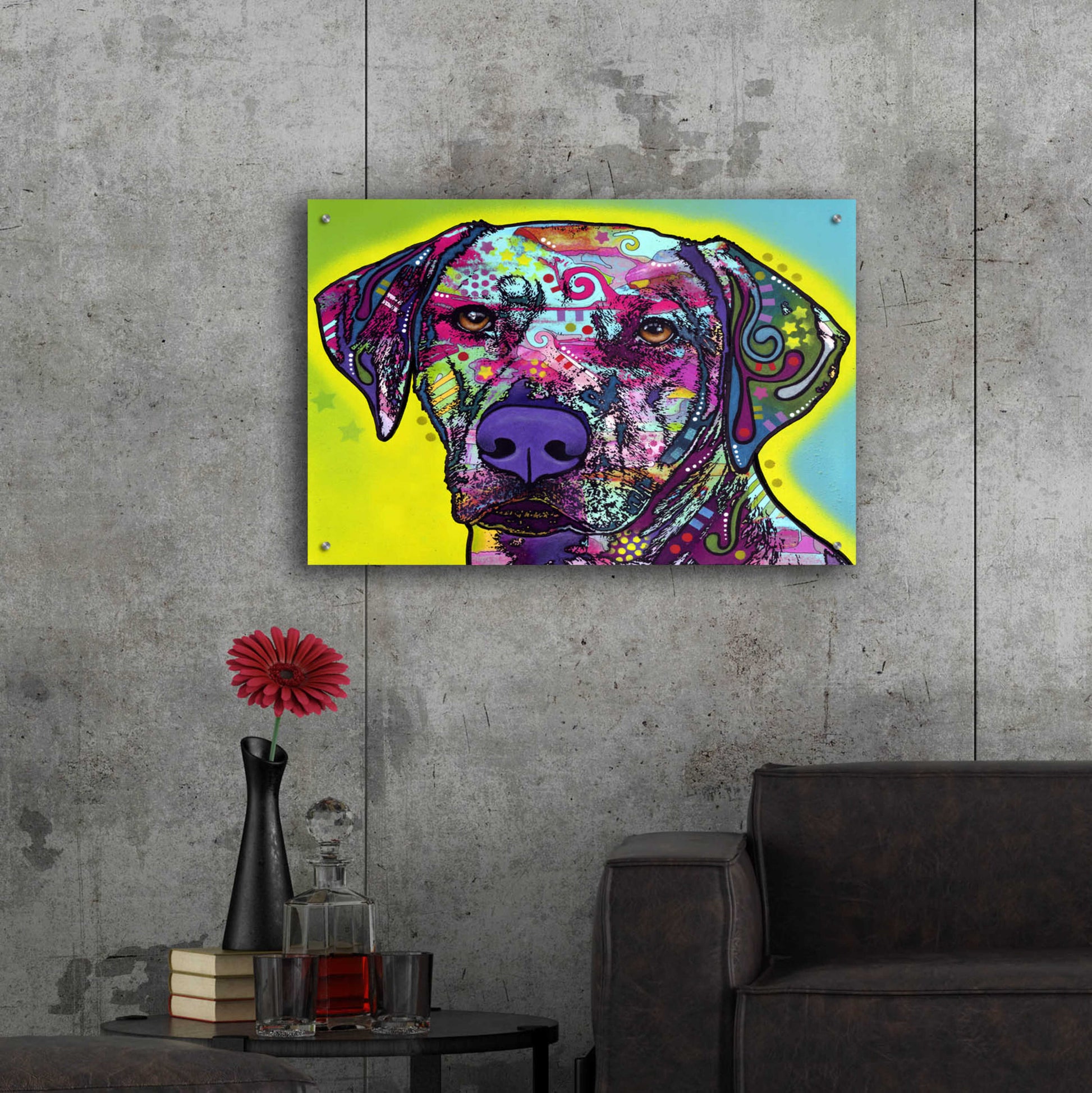 Epic Art 'Rhodesian Ridgeback' by Dean Russo, Acrylic Glass Wall Art,36x24