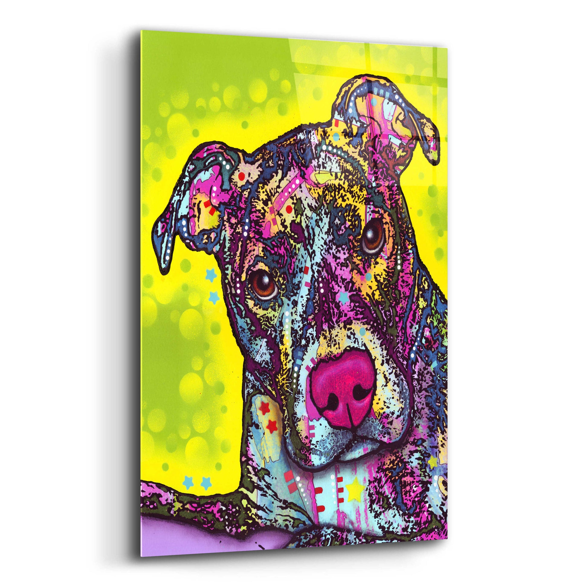 Epic Art 'Brindle' by Dean Russo, Acrylic Glass Wall Art,12x16