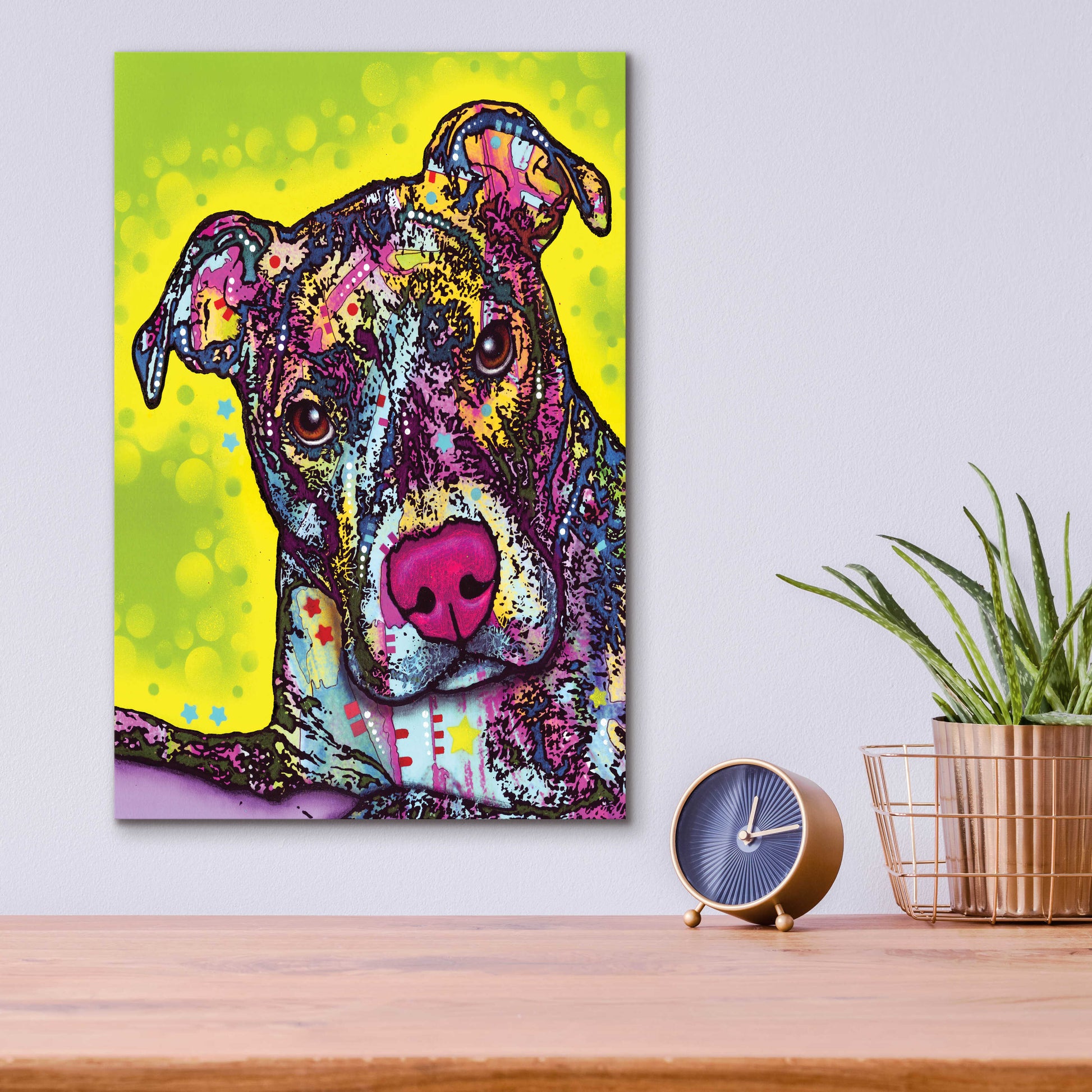 Epic Art 'Brindle' by Dean Russo, Acrylic Glass Wall Art,12x16