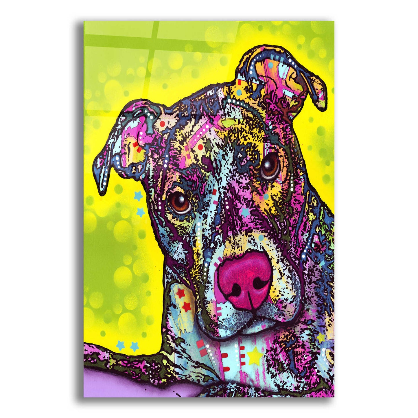 Epic Art 'Brindle' by Dean Russo, Acrylic Glass Wall Art,12x16