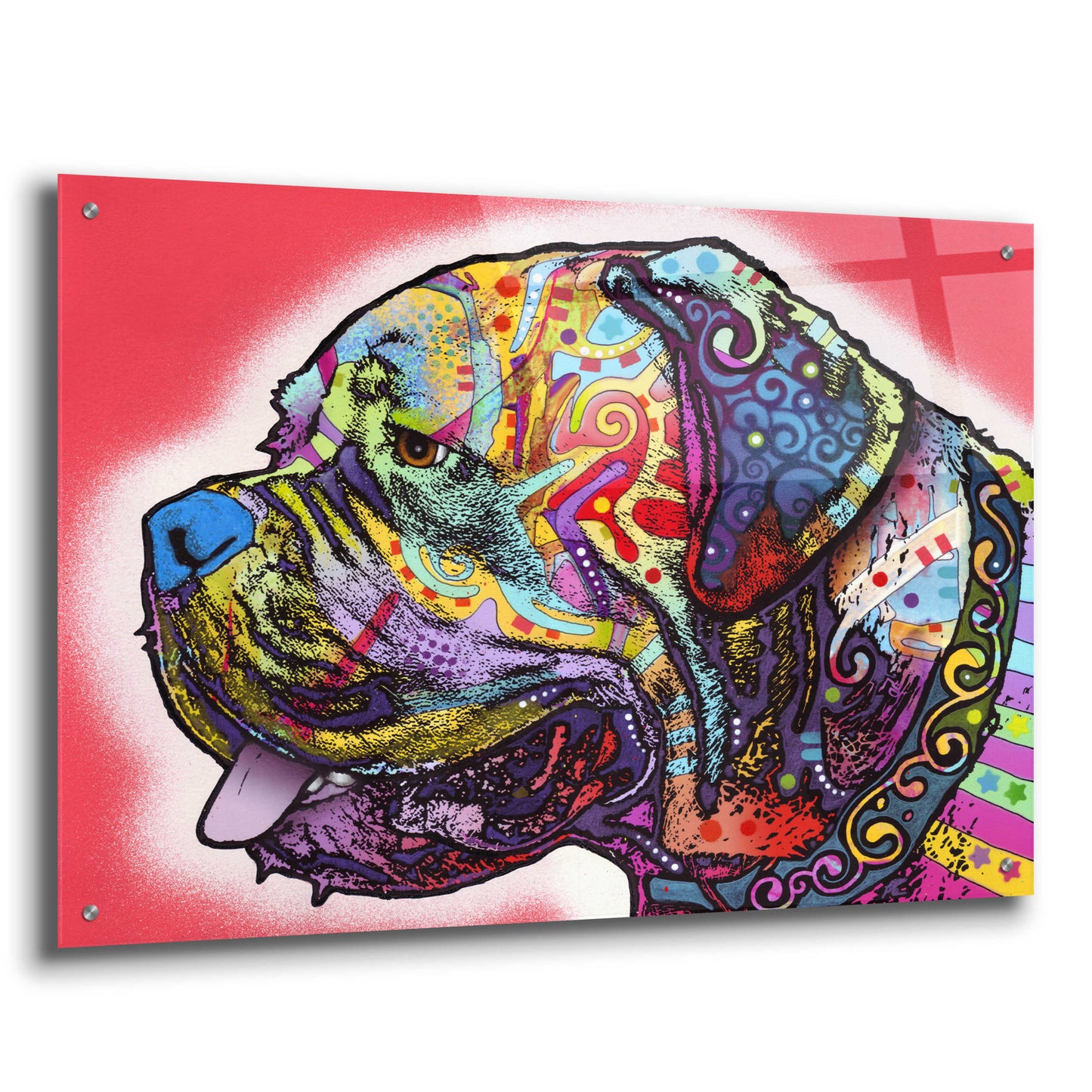 Epic Art 'Profile Mastiff' by Dean Russo, Acrylic Glass Wall Art,36x24