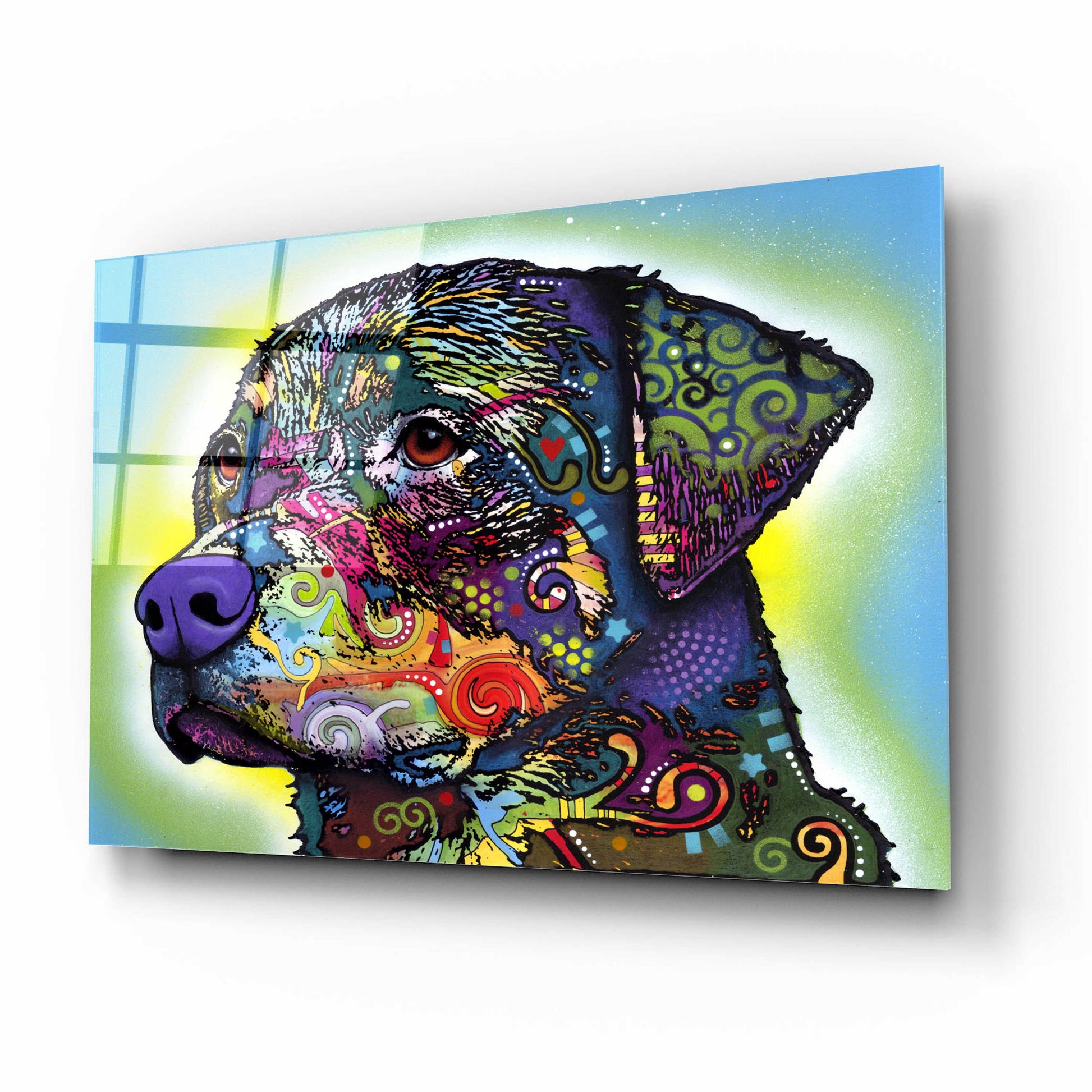 Epic Art 'The Rottweiler' by Dean Russo, Acrylic Glass Wall Art,16x12