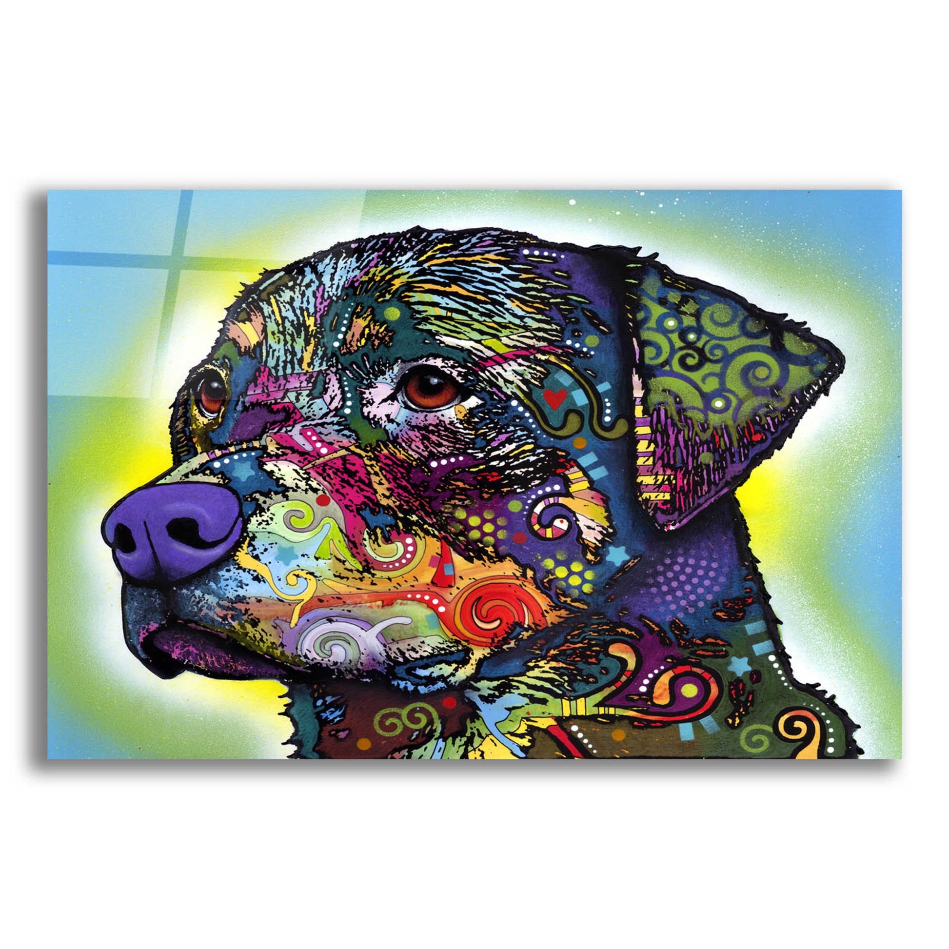 Epic Art 'The Rottweiler' by Dean Russo, Acrylic Glass Wall Art,16x12