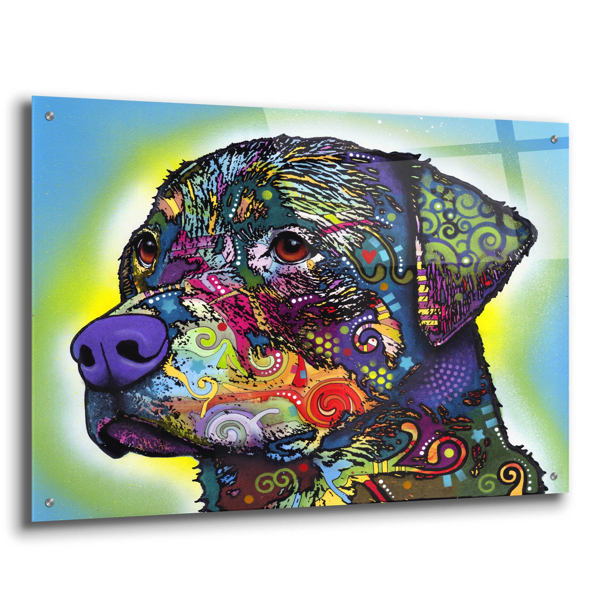 Epic Art 'The Rottweiler' by Dean Russo, Acrylic Glass Wall Art,36x24