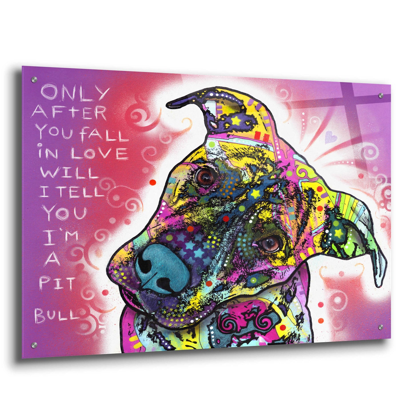 Epic Art 'I'M A Pit Bull' by Dean Russo, Acrylic Glass Wall Art,36x24