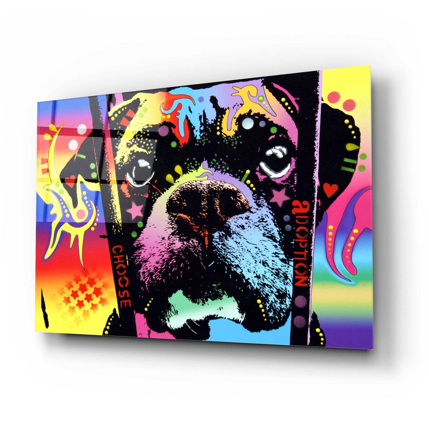 Epic Art 'Choose Adoption Boxer' by Dean Russo, Acrylic Glass Wall Art,24x16