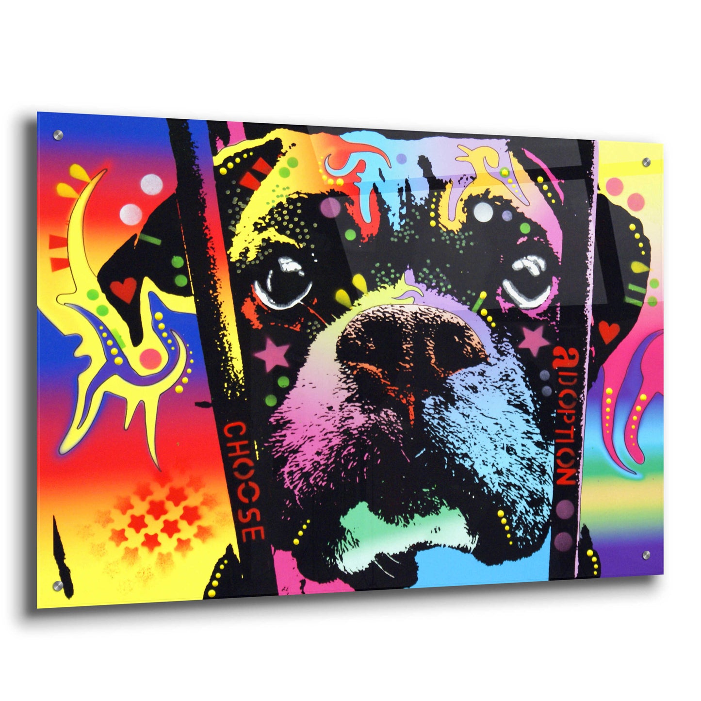 Epic Art 'Choose Adoption Boxer' by Dean Russo, Acrylic Glass Wall Art,36x24