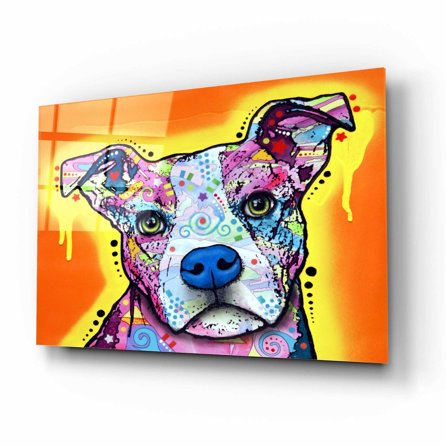 Epic Art 'A Serious Pit' by Dean Russo, Acrylic Glass Wall Art,16x12