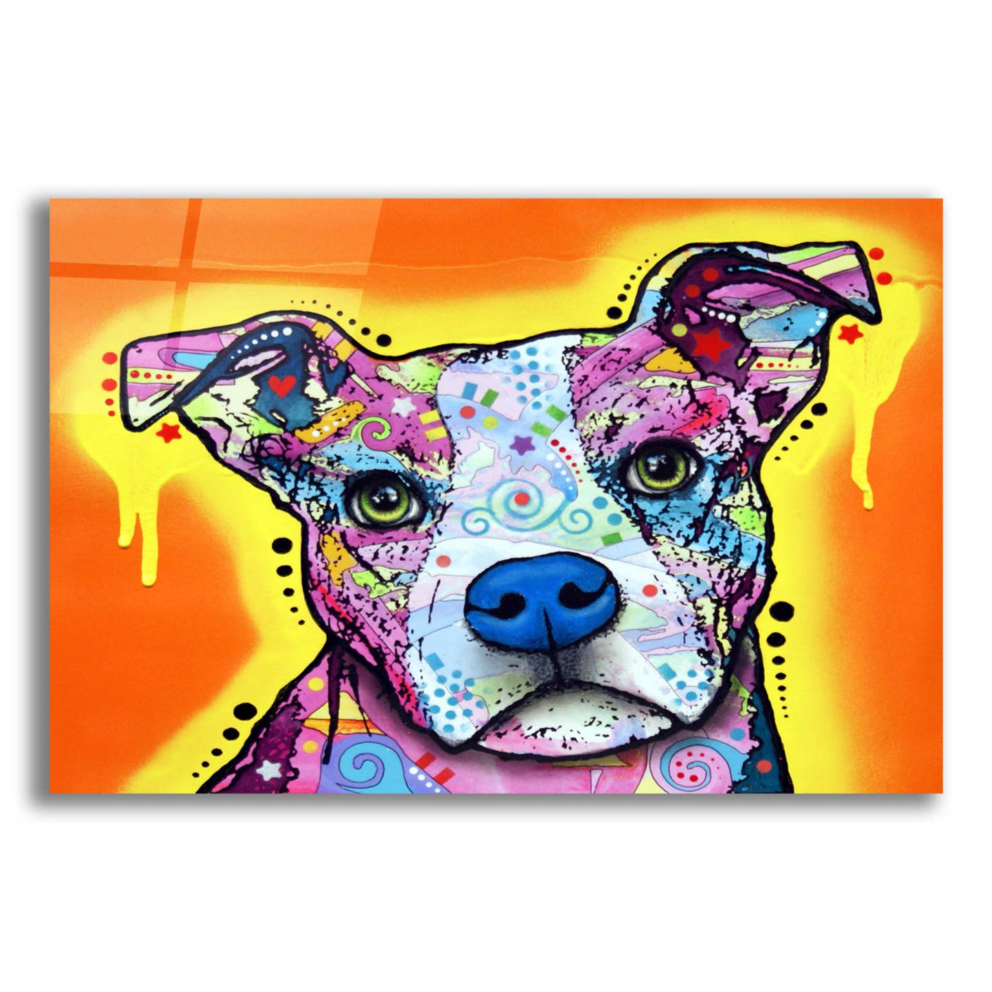 Epic Art 'A Serious Pit' by Dean Russo, Acrylic Glass Wall Art,16x12