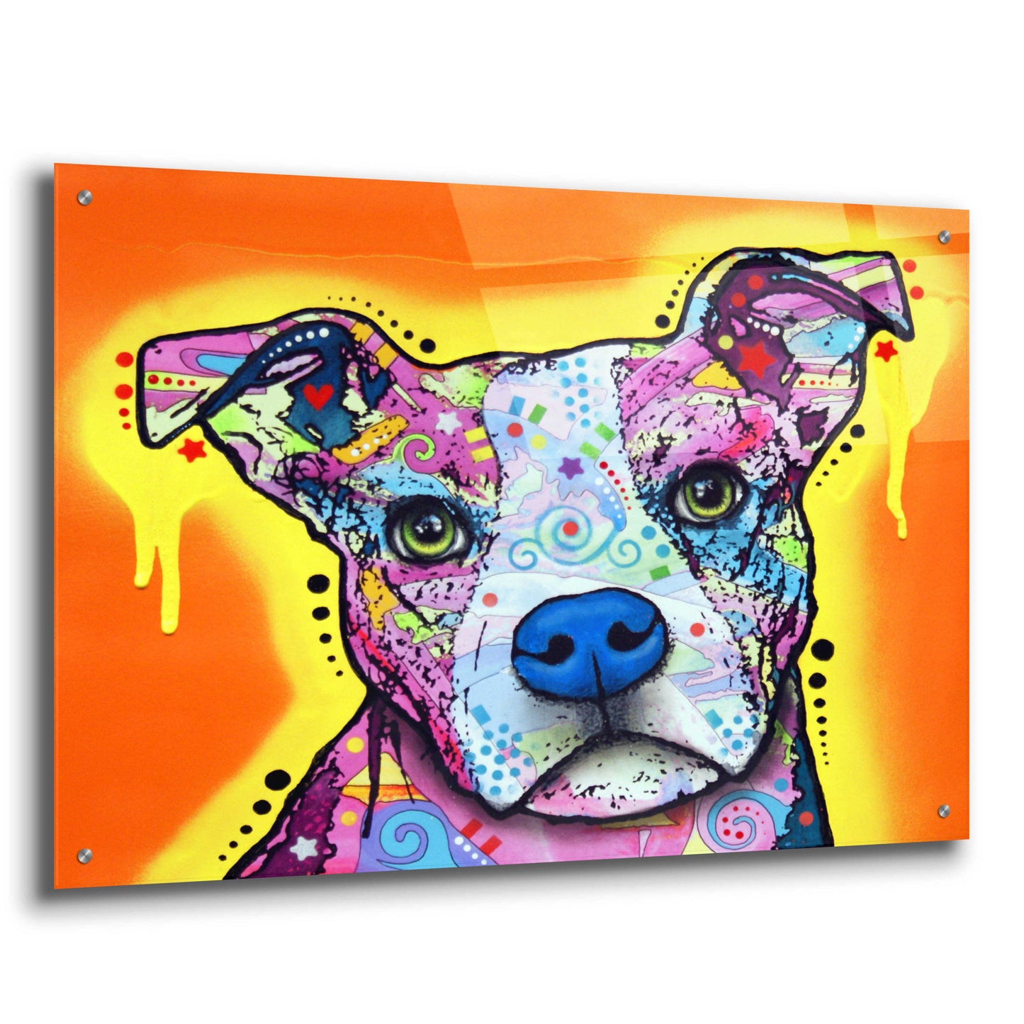 Epic Art 'A Serious Pit' by Dean Russo, Acrylic Glass Wall Art,36x24