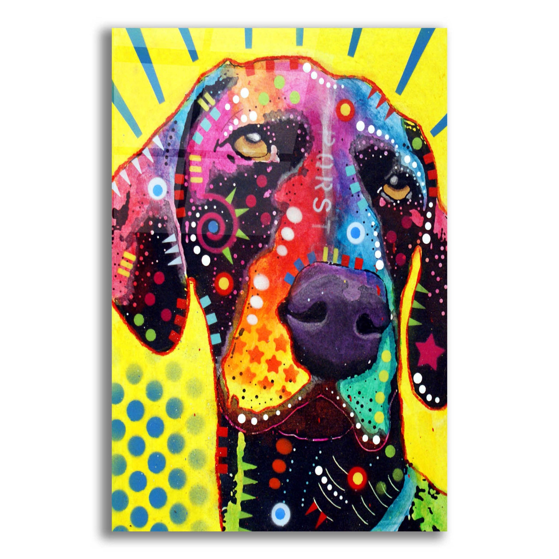 Epic Art 'German Short Hair Pointer' by Dean Russo, Acrylic Glass Wall Art,12x16